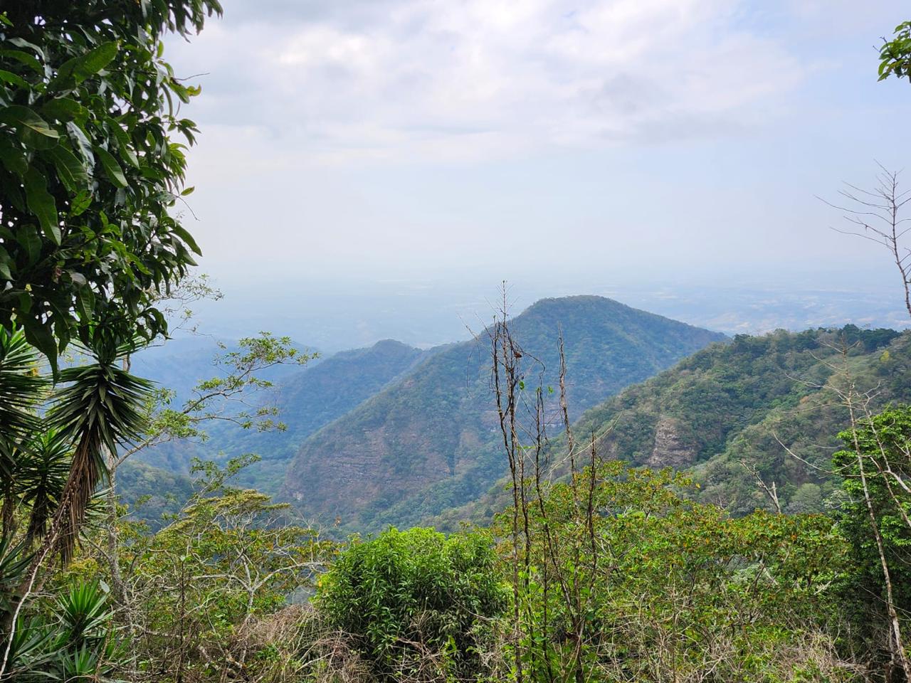 TERRENO 8MNZNS TACUBA AHUACHAPAN EL SINCUYO