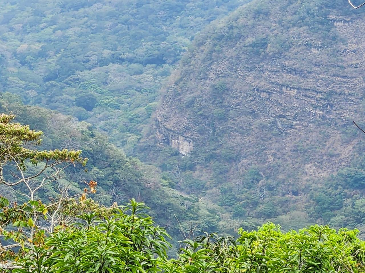 TERRENO 8MNZNS TACUBA AHUACHAPAN EL SINCUYO