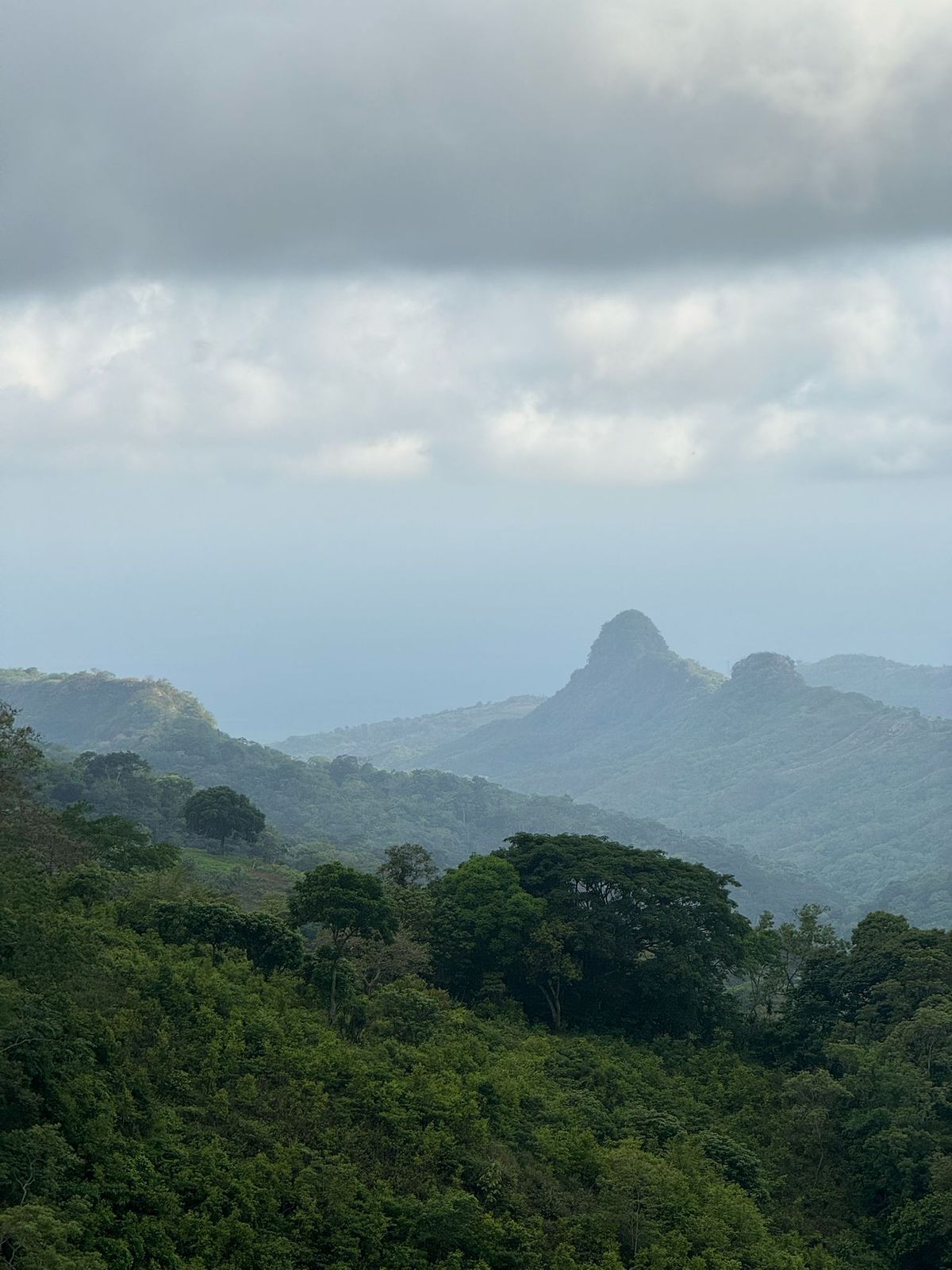 SE VENDE EN CHILTIUPAN LA LIBERTAD 5 MANZANAS