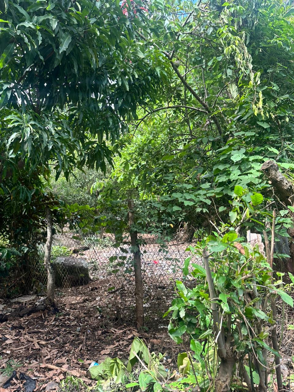 HUIZUCAR TILAPA1 LA LIBERTAD