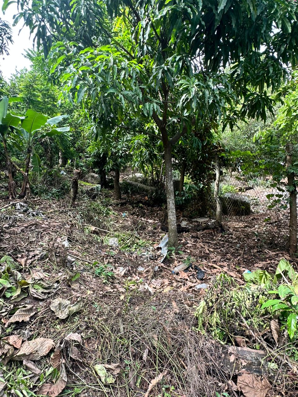 HUIZUCAR TILAPA1 LA LIBERTAD 