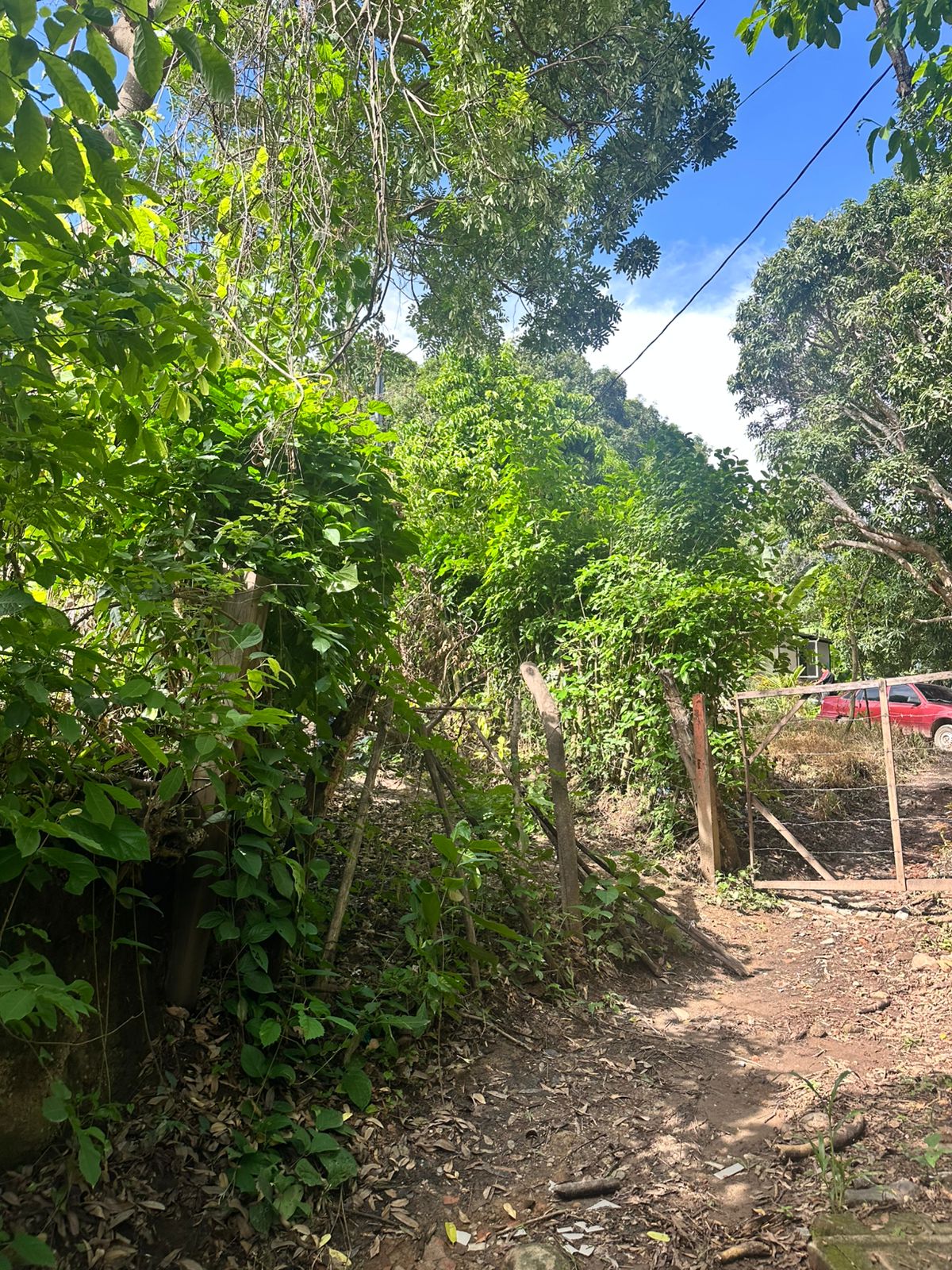 HUIZUCAR TILAPA1 LA LIBERTAD 