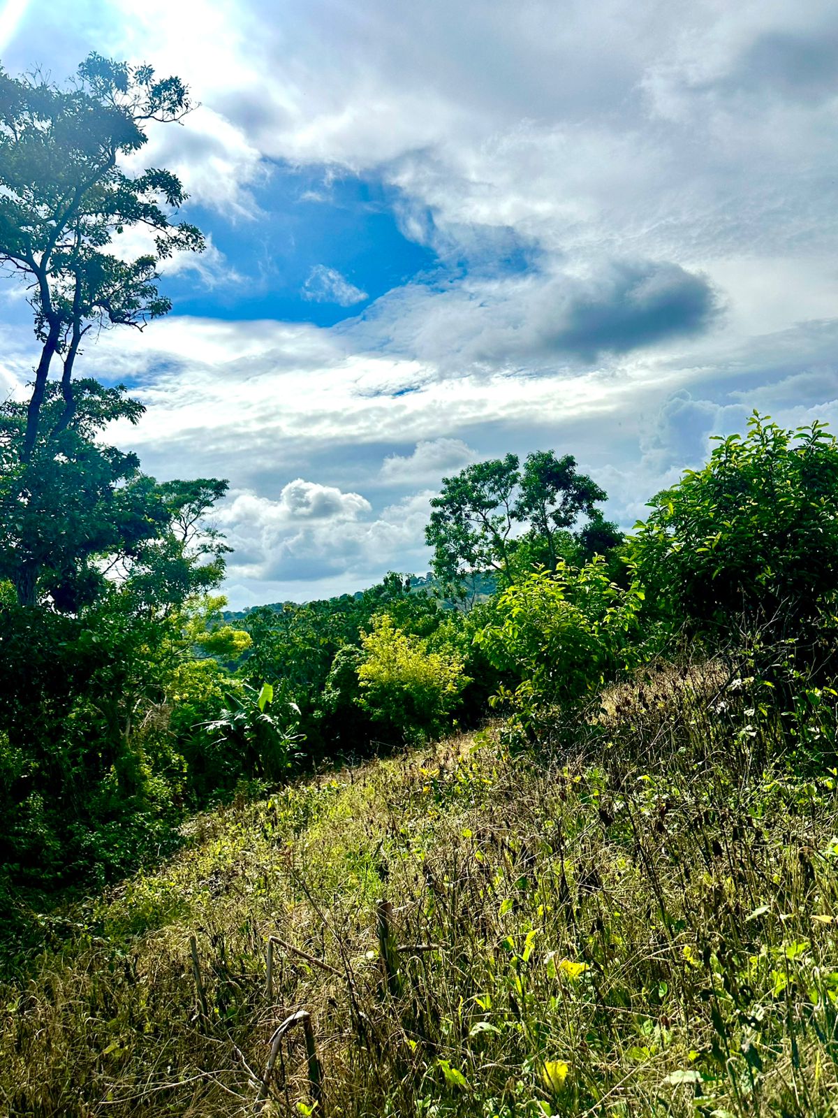 HUIZUCAR TILAPA1 LA LIBERTAD