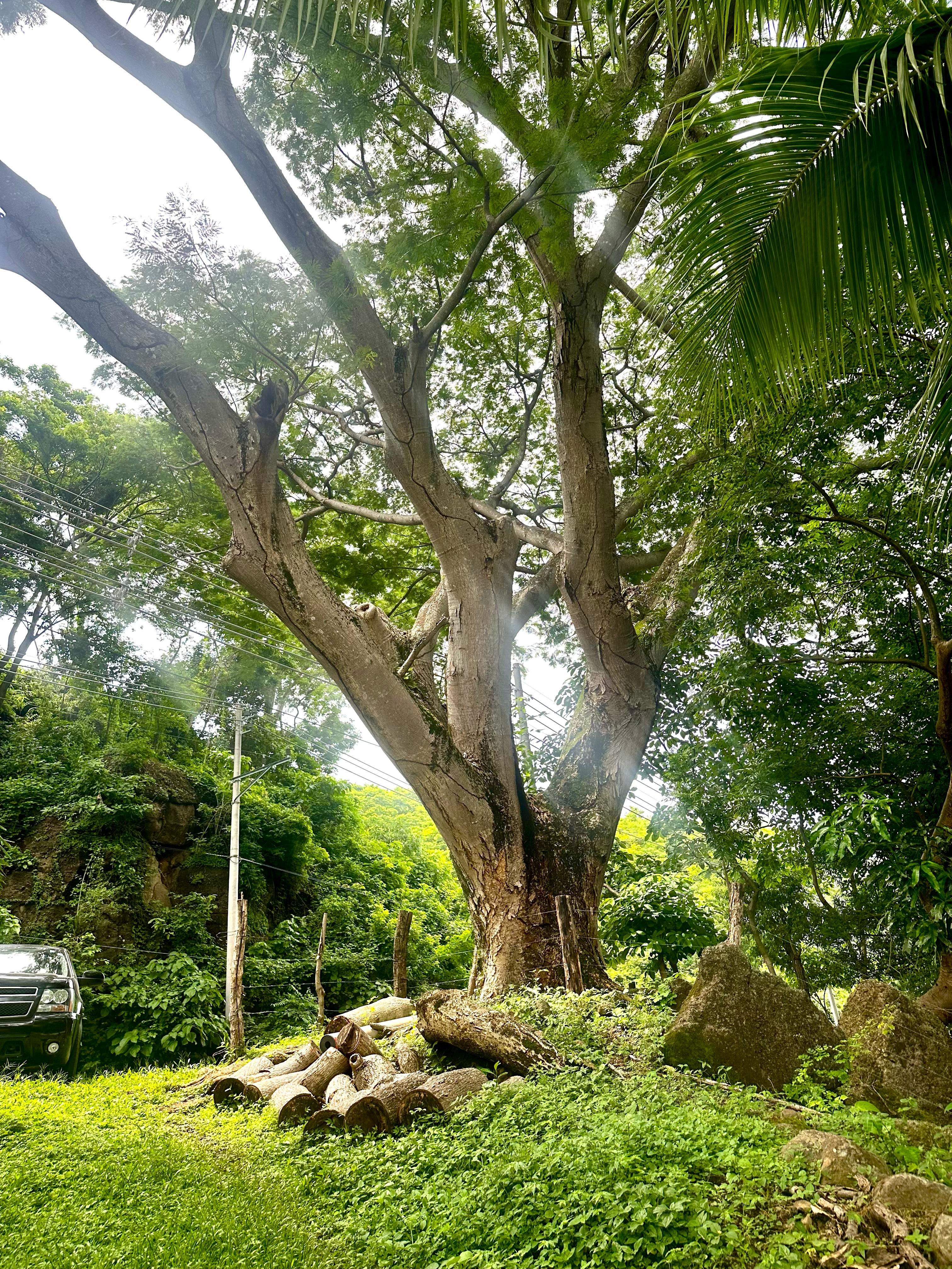 SE VENDE LA LIBERTAD TAMANIQUE EL CARMEN 