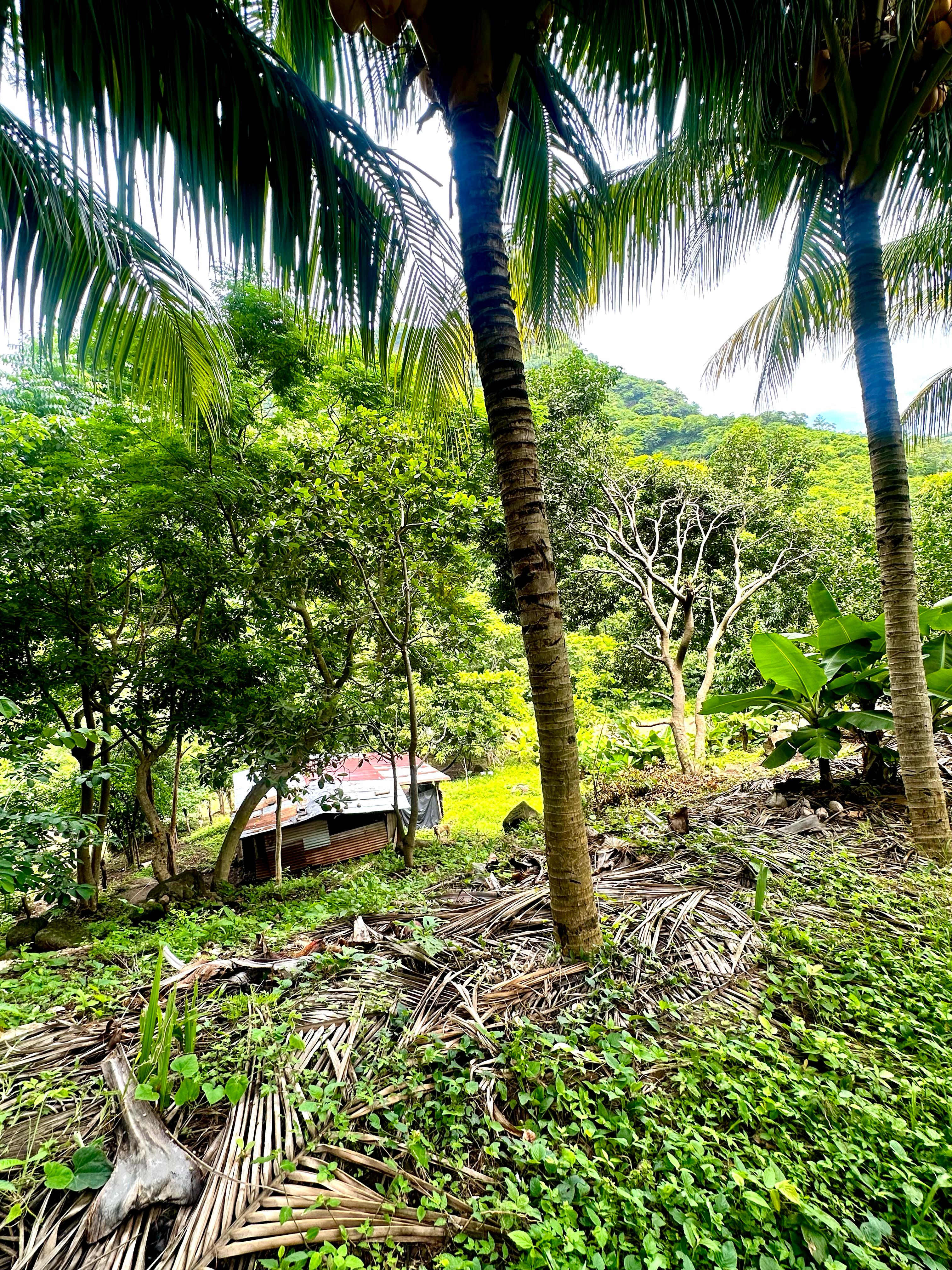 SE VENDE LA LIBERTAD TAMANIQUE EL CARMEN 