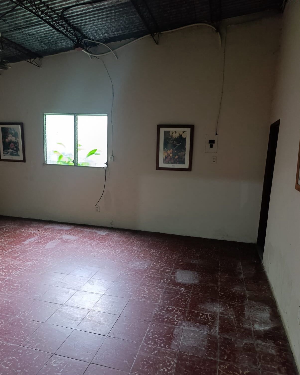 OLOCUILTA LA PAZ GRANJA EL TESORO