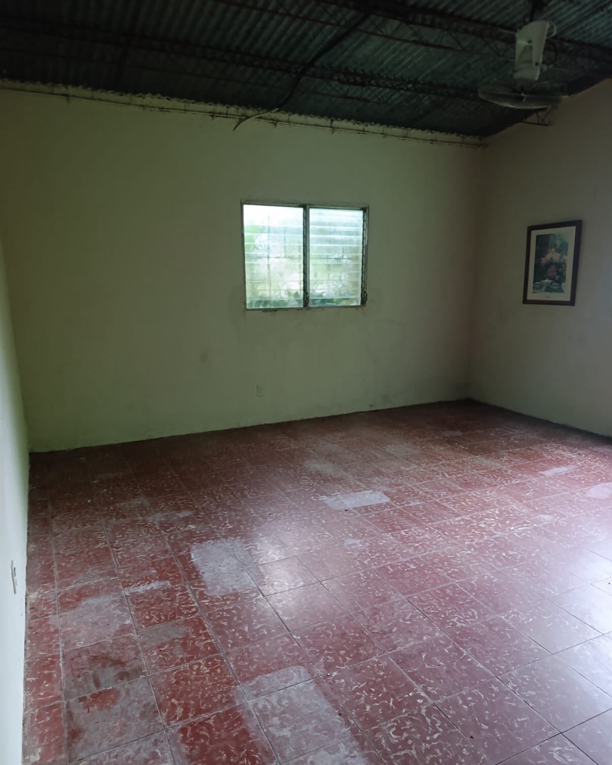 OLOCUILTA LA PAZ GRANJA EL TESORO