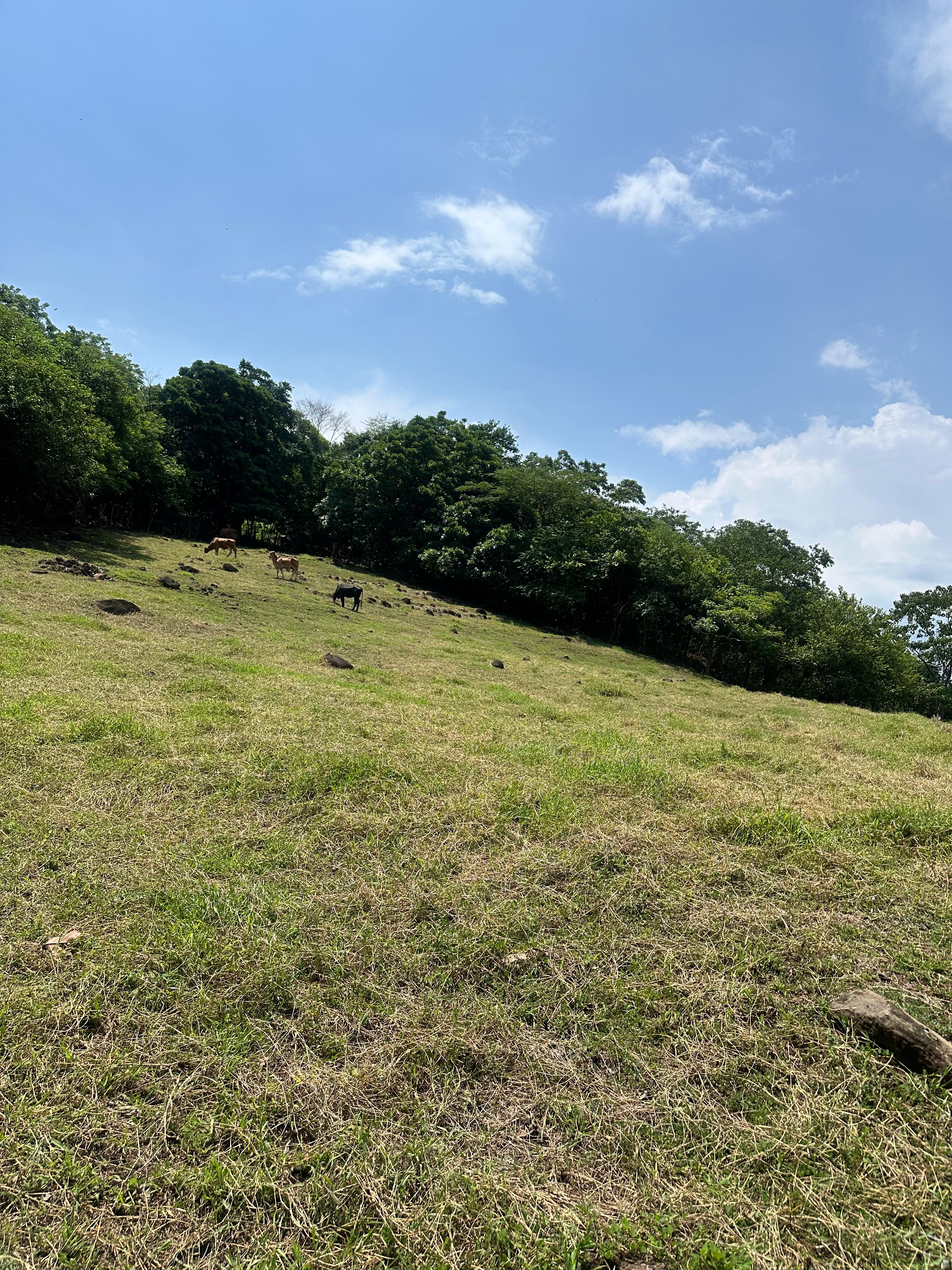 SE VENDE 13 MANZANAS EN TEOTEPEQUE LA LIBERTAD