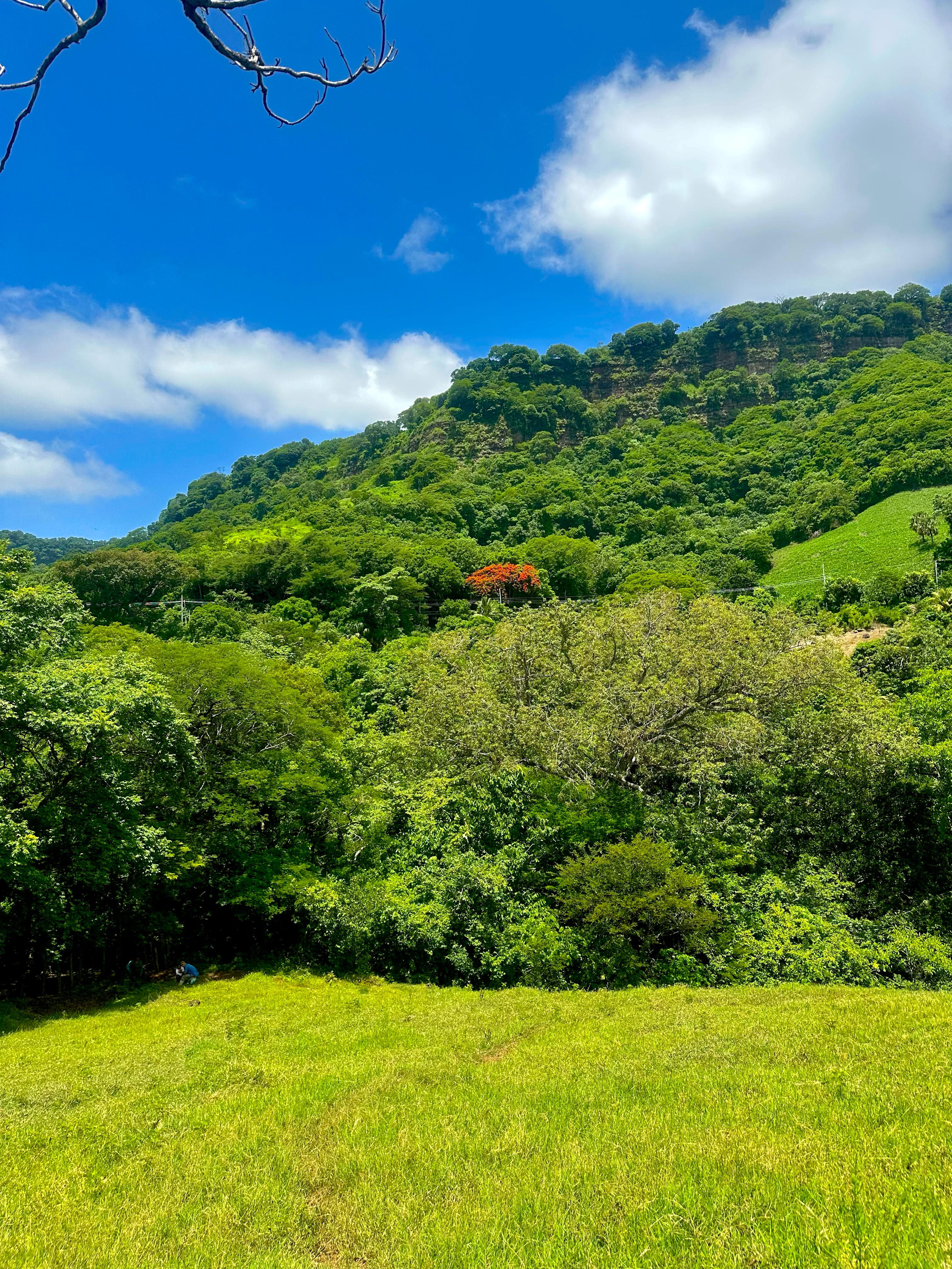 TAMANIQUE LA LIBERTAD 12 MANZANAS