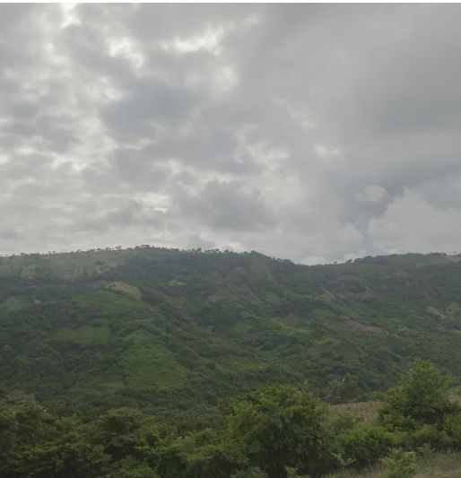 EL ZONTE LA LIBERTAD 