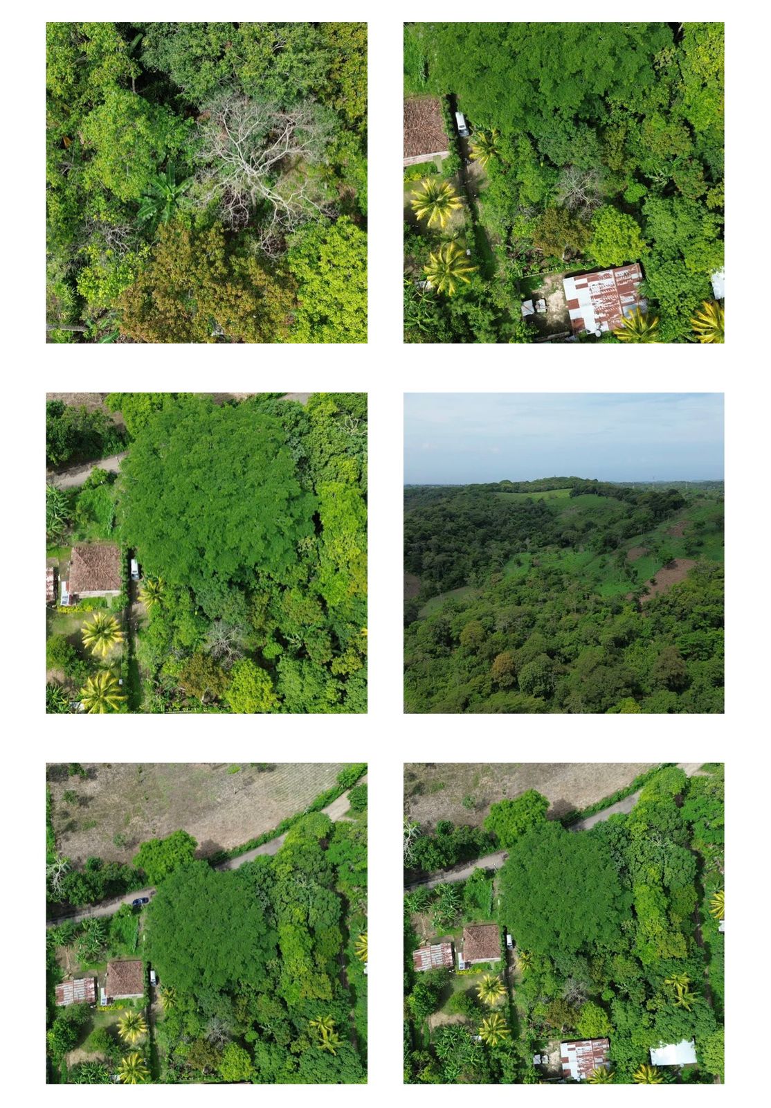 ZARAGOZA LA LIBERTAD