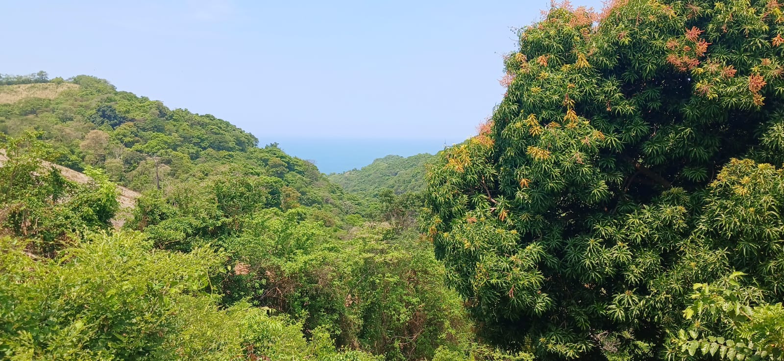 TERRENO CARRETERA DEL LITORAL LA LIBERTAD 3 MANZANAS