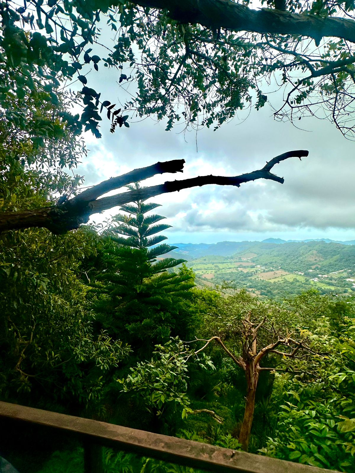 CABAÑAS EN TAMANIQUE LA LIBERTAD 