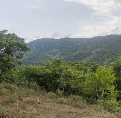 EL ZONTE LA LIBERTAD 