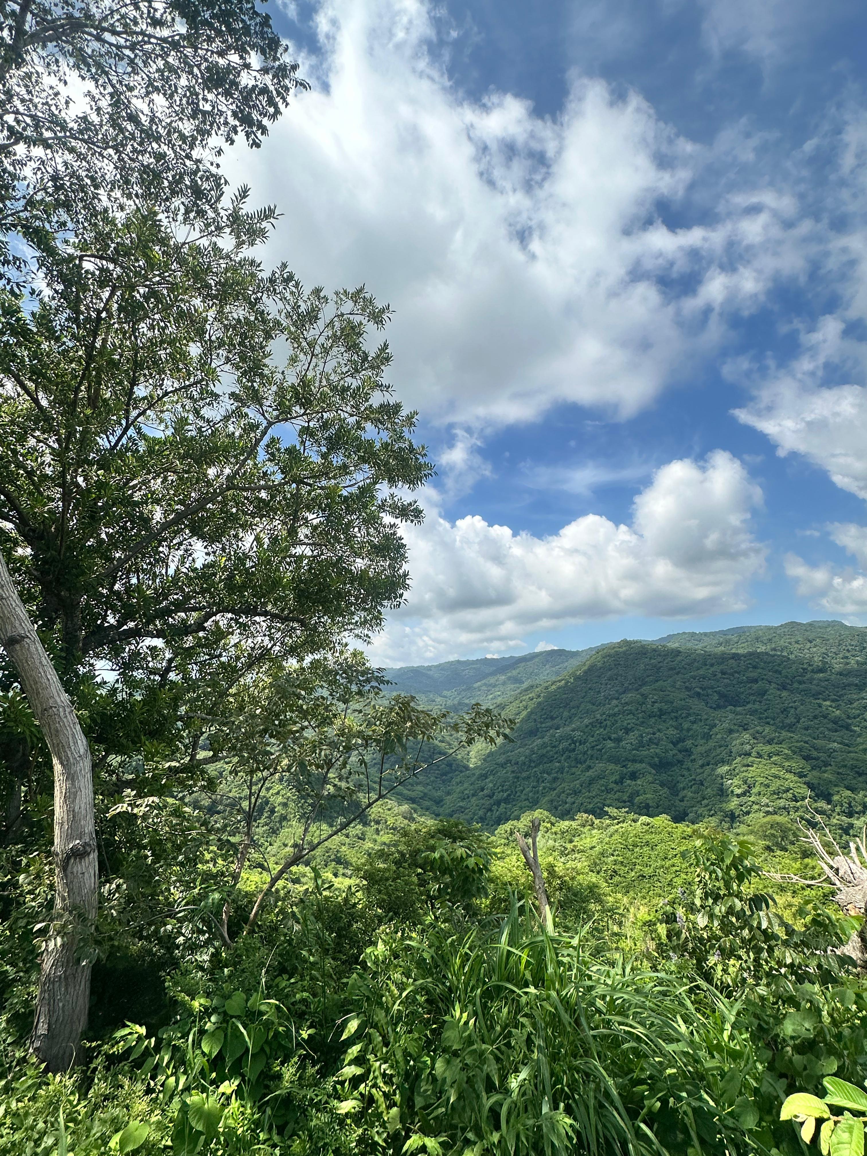 SE VENDE TERRENO EN OLOCUILTA CASA BLANCA