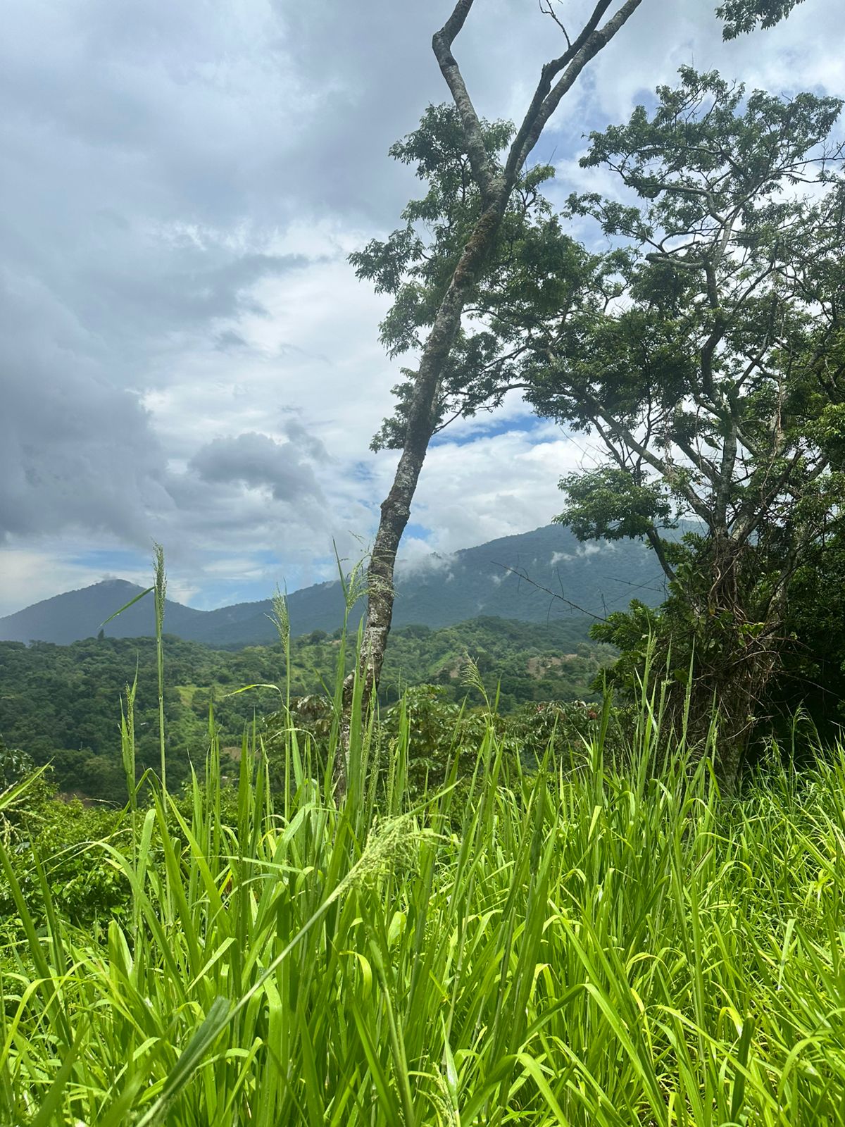 TERRENO BAJANDO LOS CHORROS 12 MANZANAS