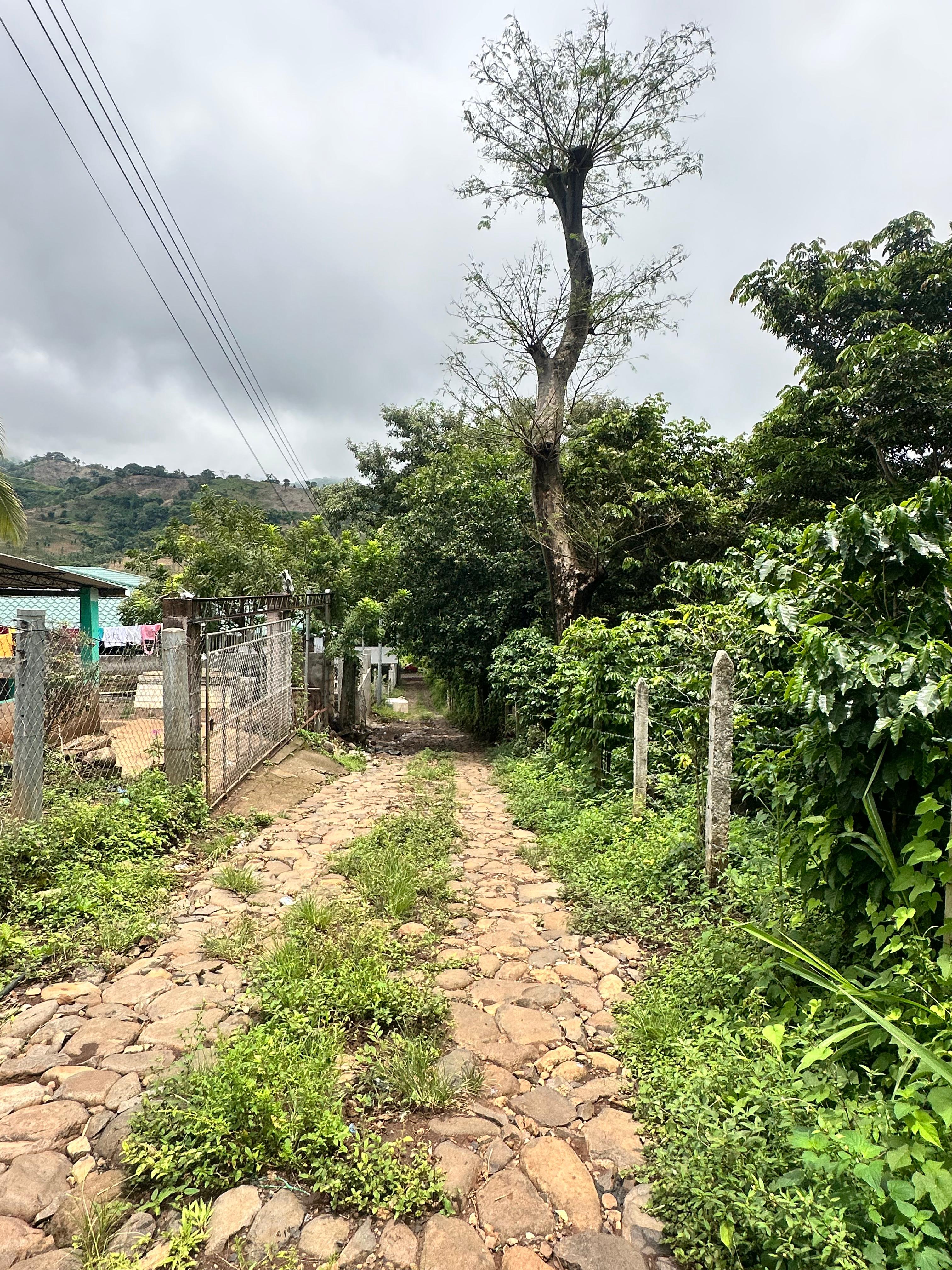 SE VENDE TERRENO EN TAMANIQUE CALLE TEMPISQUE