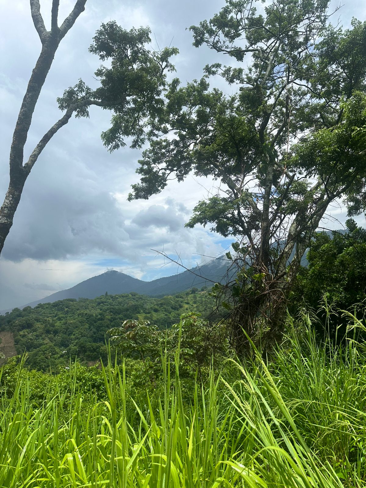 TERRENO BAJANDO LOS CHORROS 12 MANZANAS