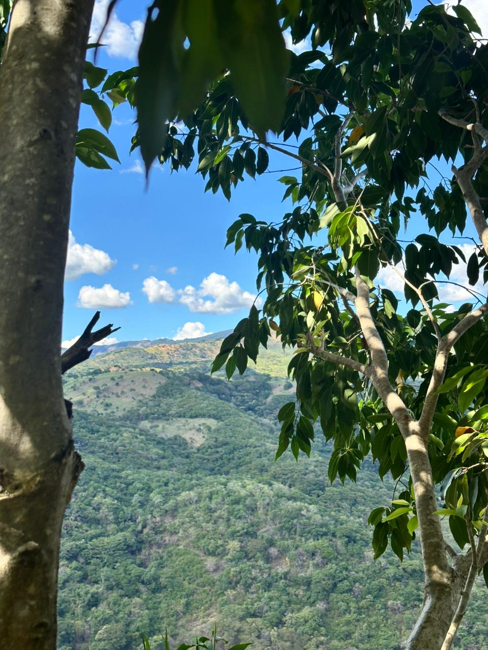 AHUACHAPAN LOS TOLES 