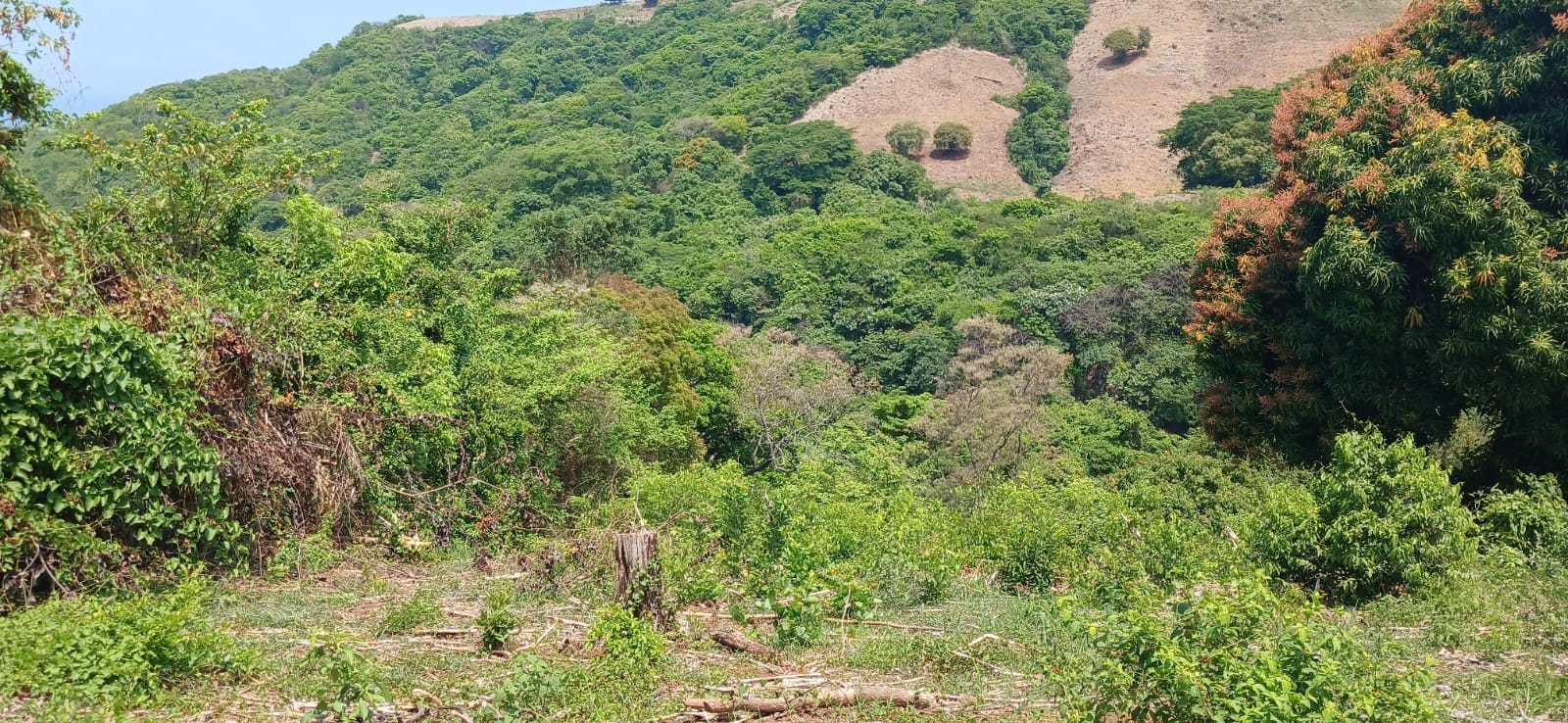 TERRENO CARRETERA DEL LITORAL LA LIBERTAD 3 MANZANAS