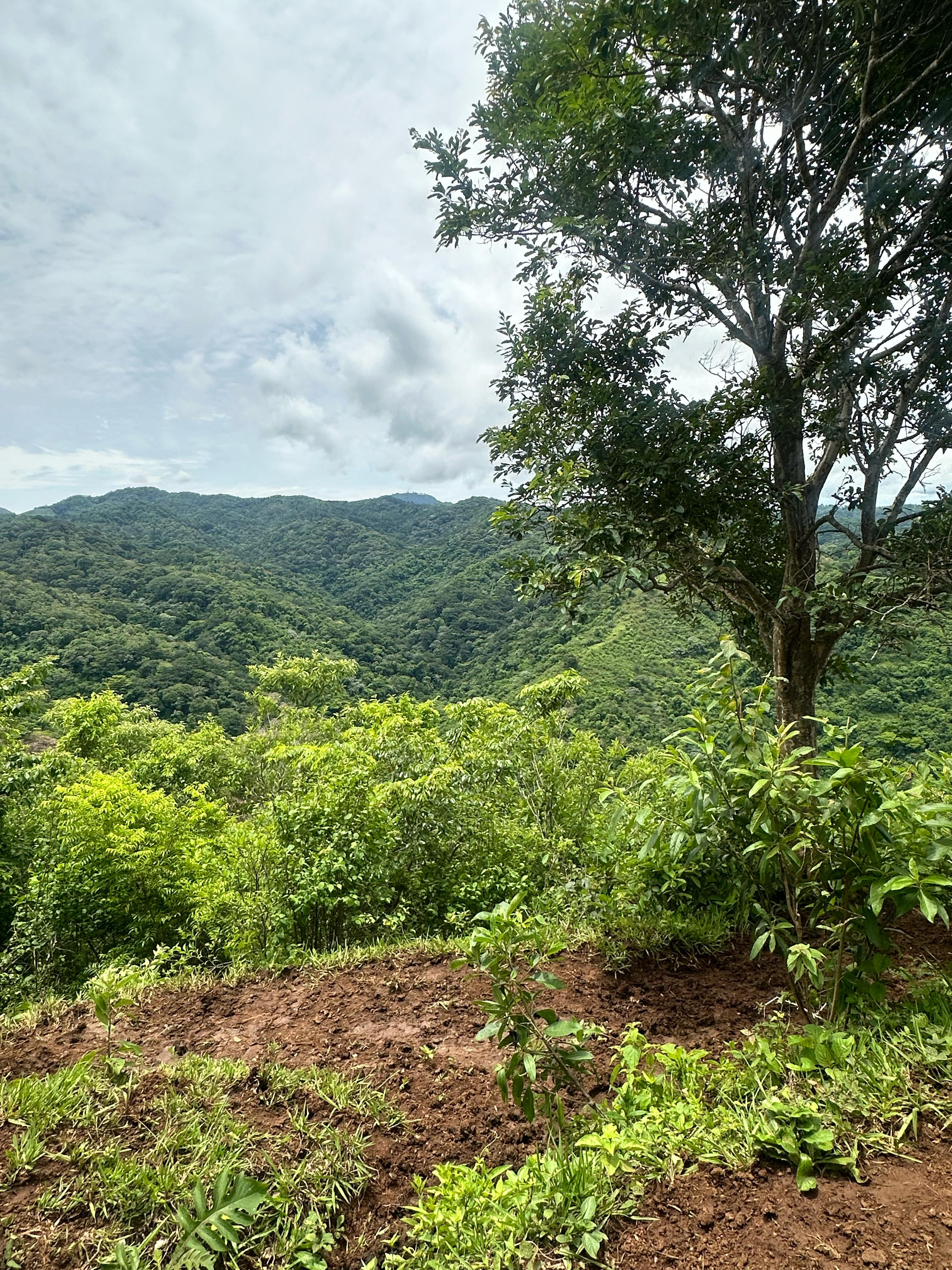 TEOTEPEQUE LA LIBERTAD 34.7 MANZANAS