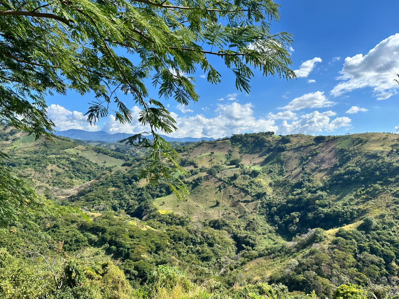 AHUACHAPAN LOS TOLES 