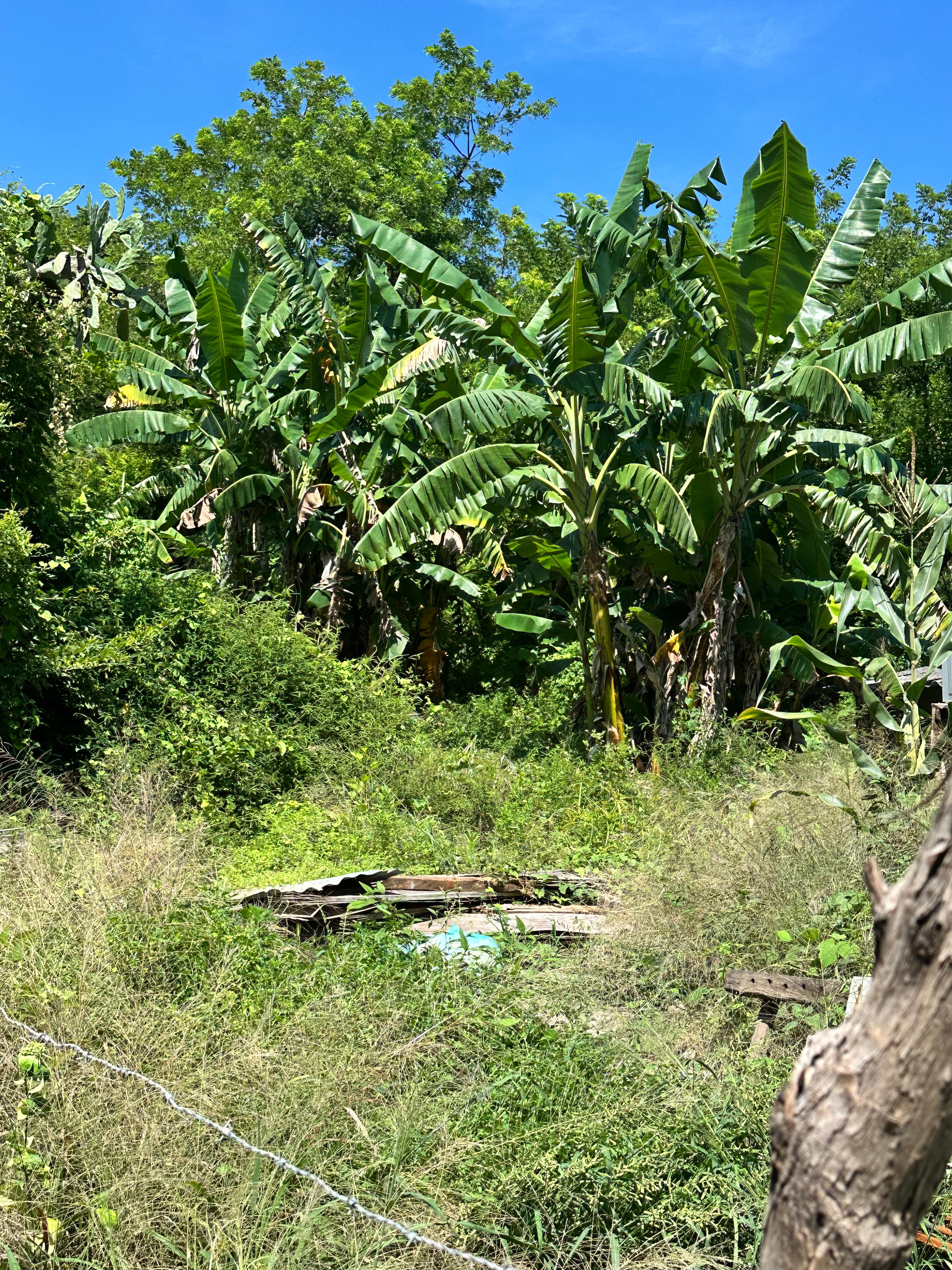 SE VENDE EN TAMANIQUE BUENOS AIRES