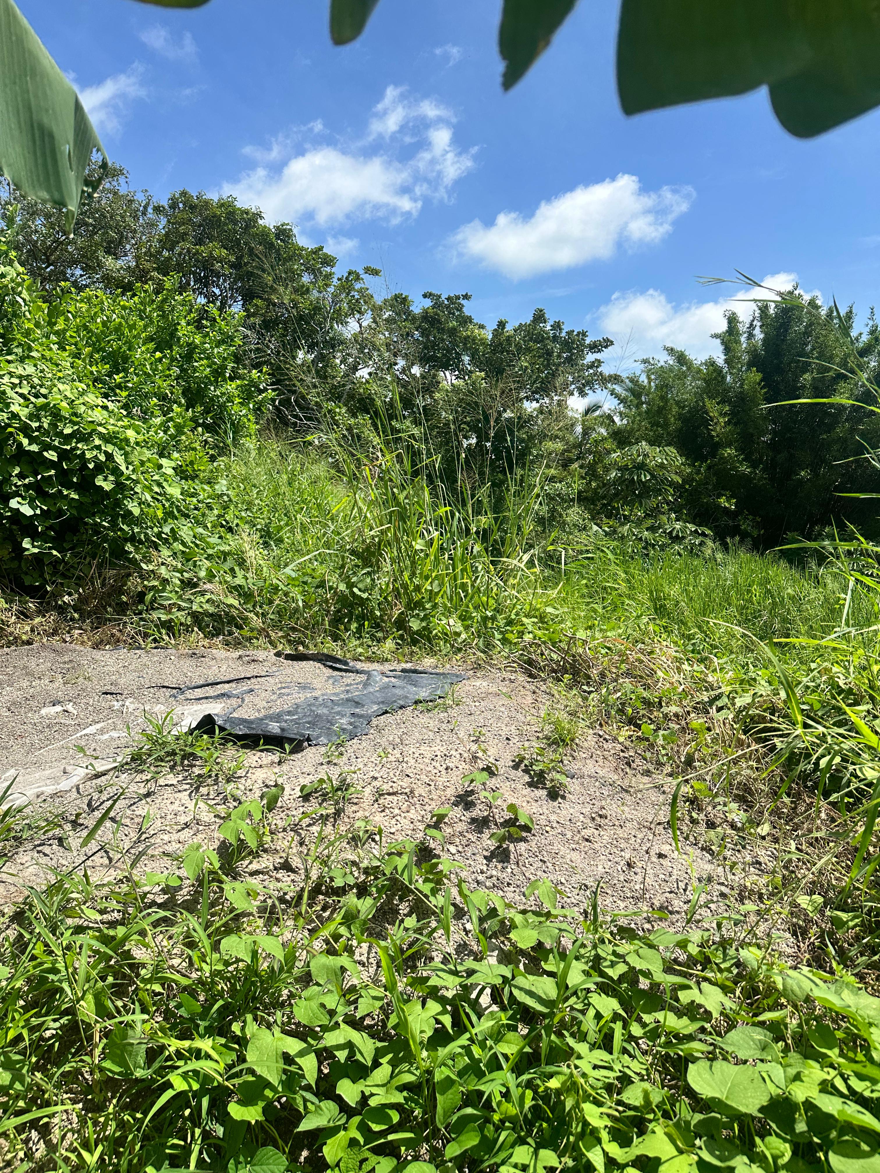 SE VENDE TERRENO EN OLOCUILTA CASA BLANCA