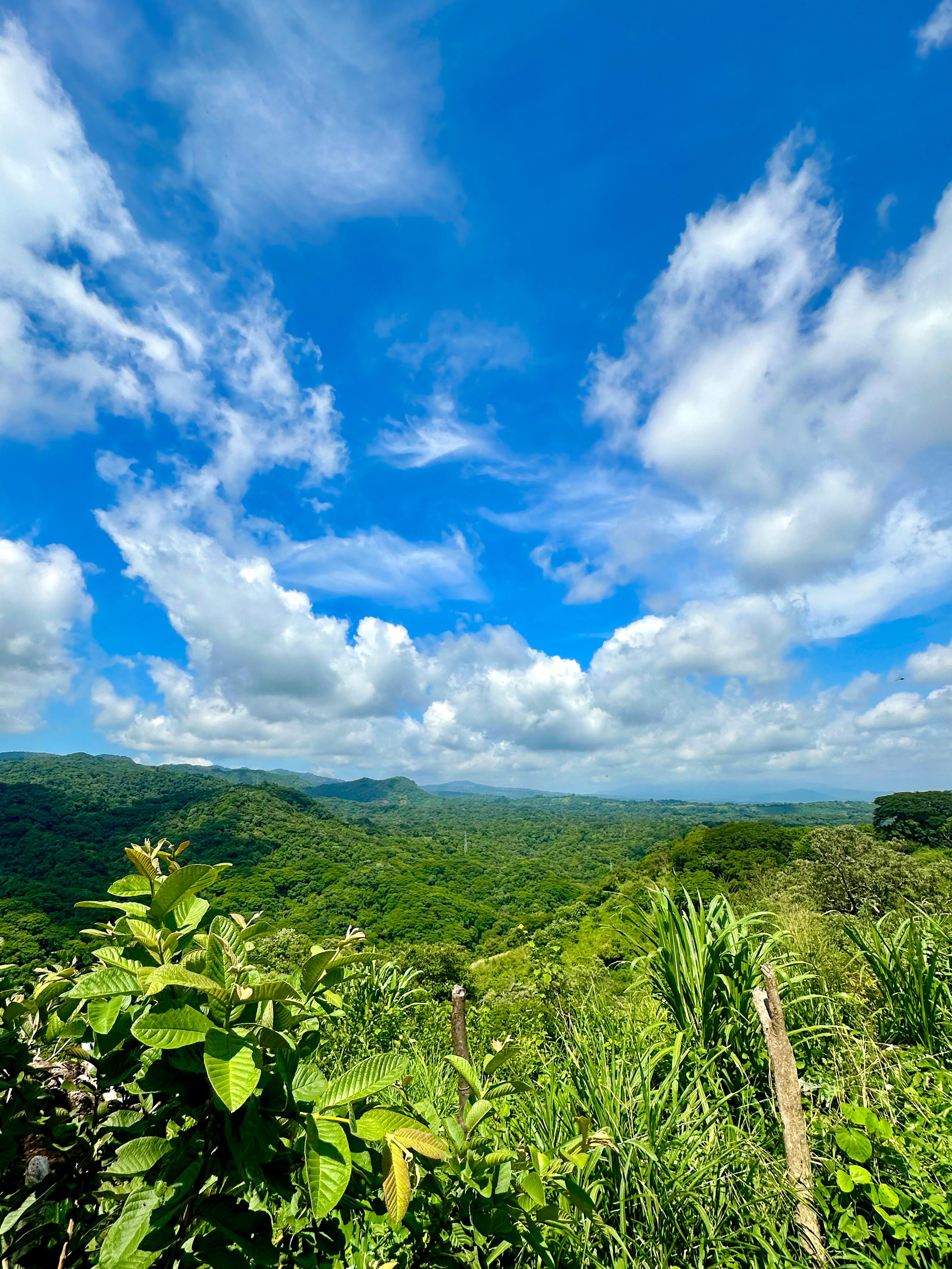 SE VENDE TERRENO EN OLOCUILTA CASA BLANCA