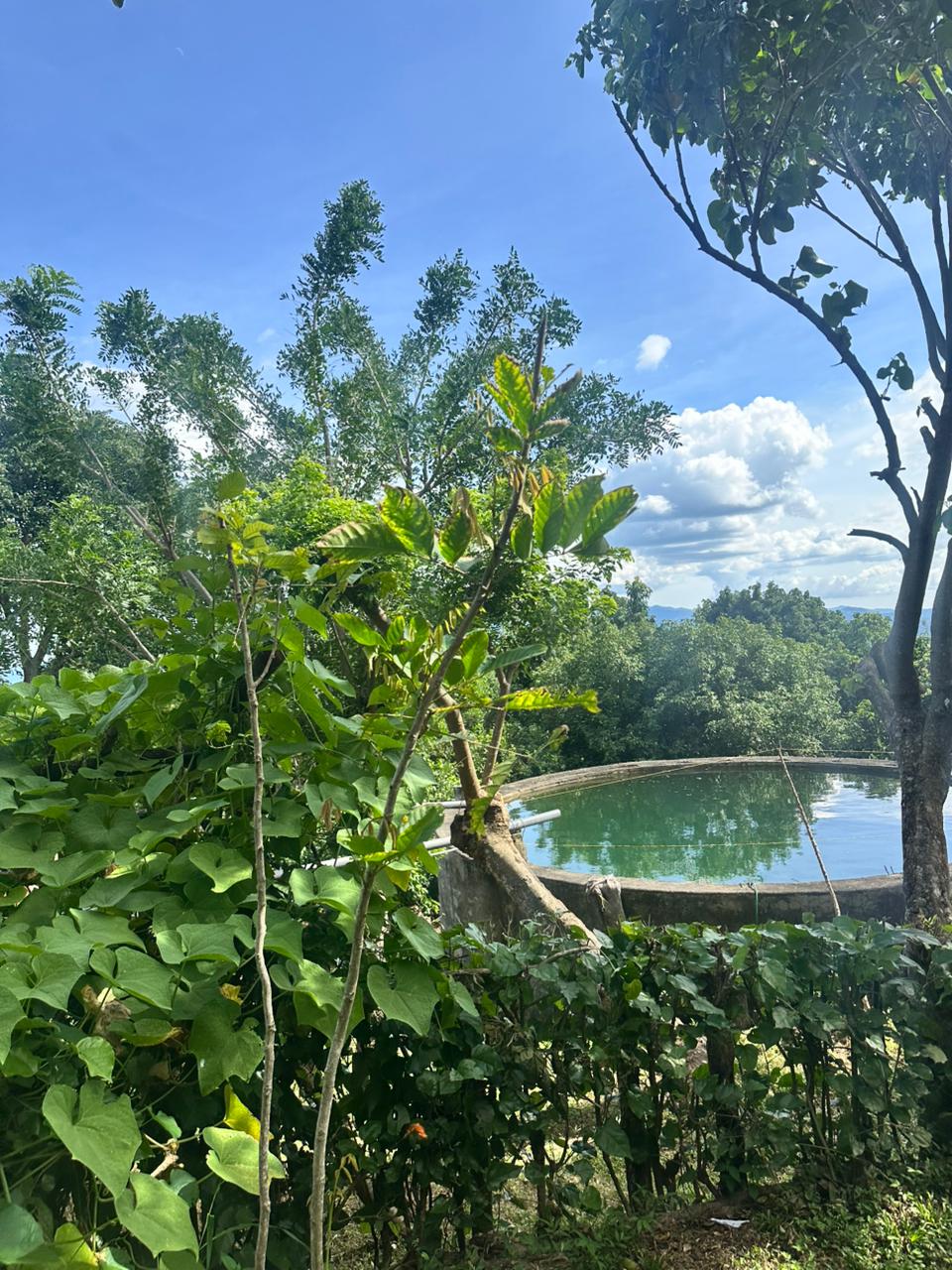 FINCA MONTE BELLO EL CONGO 123MANZANAS