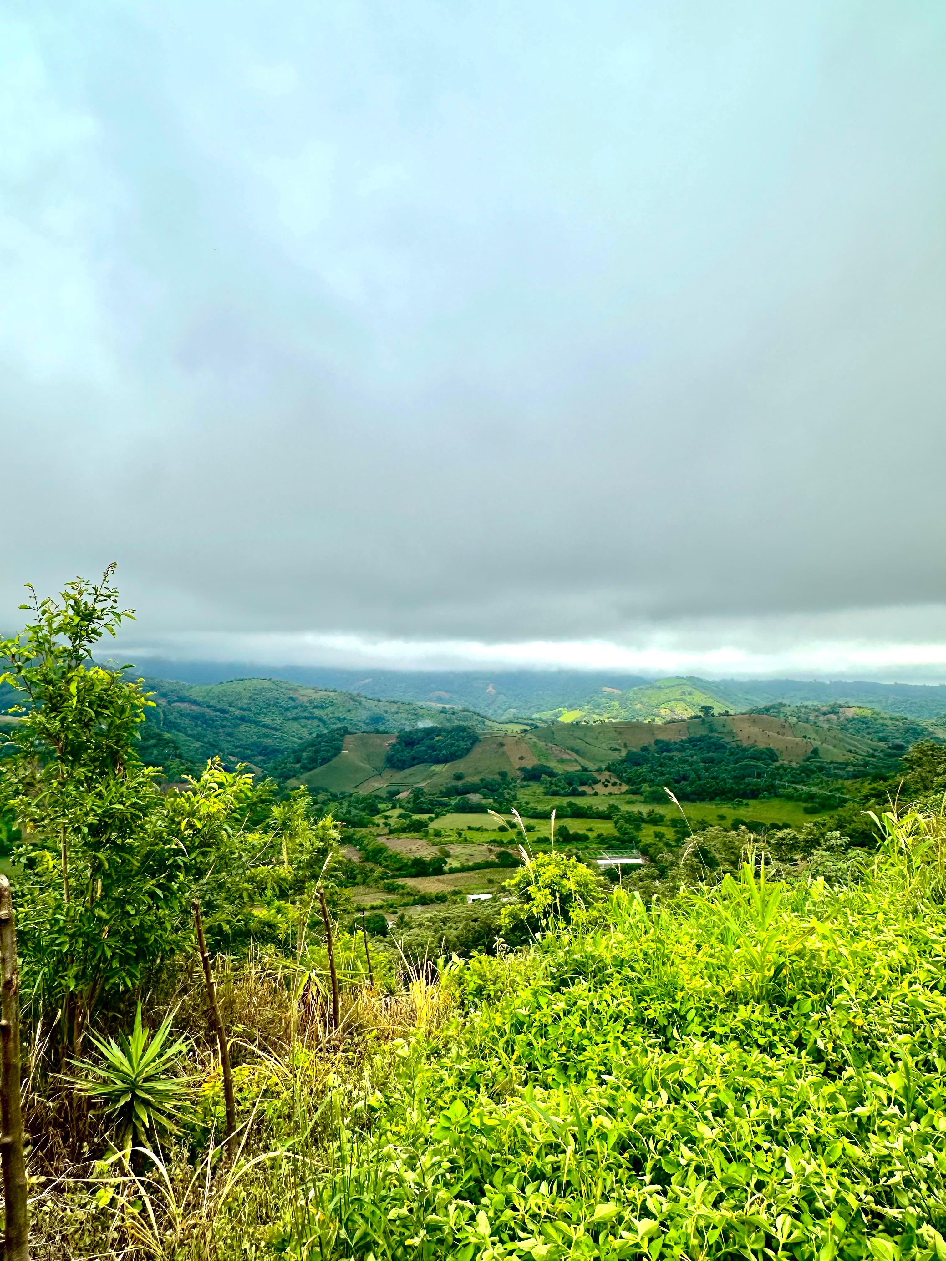 SE VENDE TERRENO EN TAMANIQUE CALLE TEMPISQUE