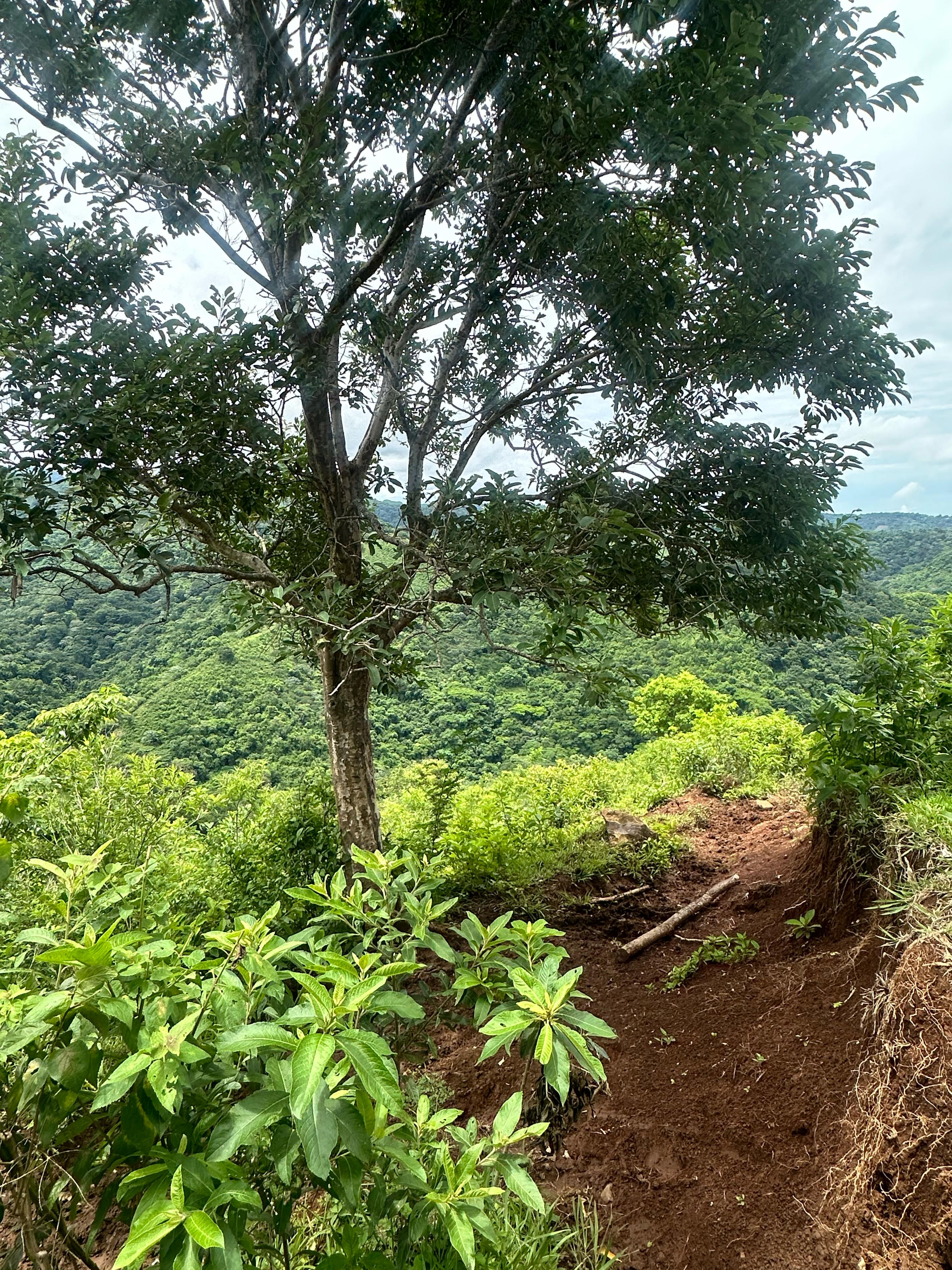 TEOTEPEQUE LA LIBERTAD 34.7 MANZANAS