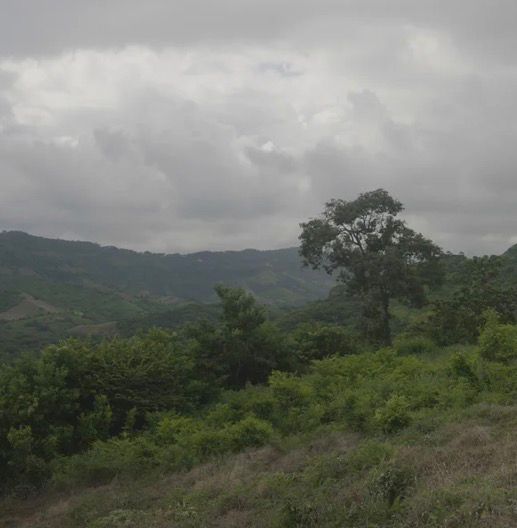 EL ZONTE LA LIBERTAD