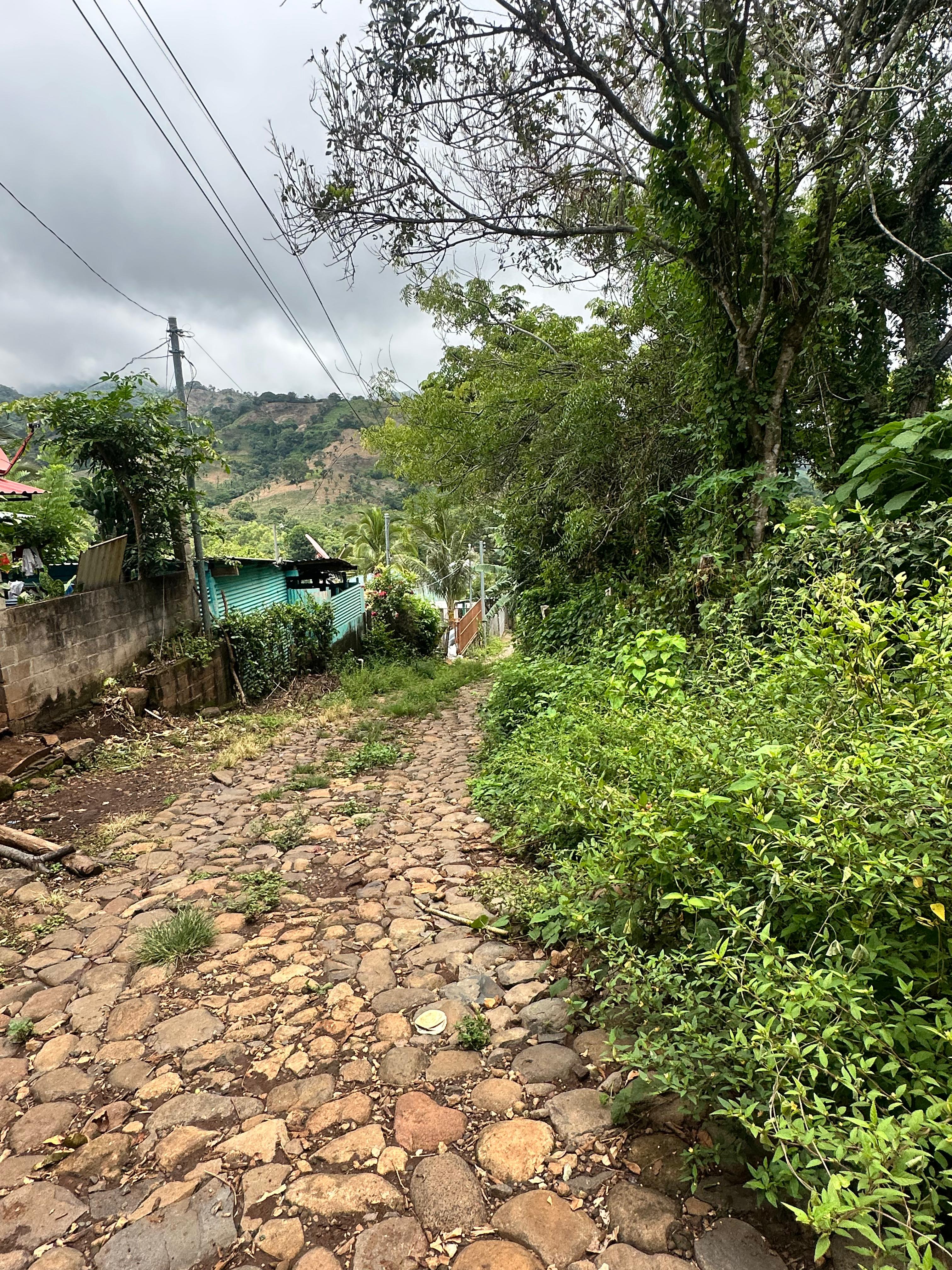 SE VENDE TERRENO EN TAMANIQUE CALLE TEMPISQUE