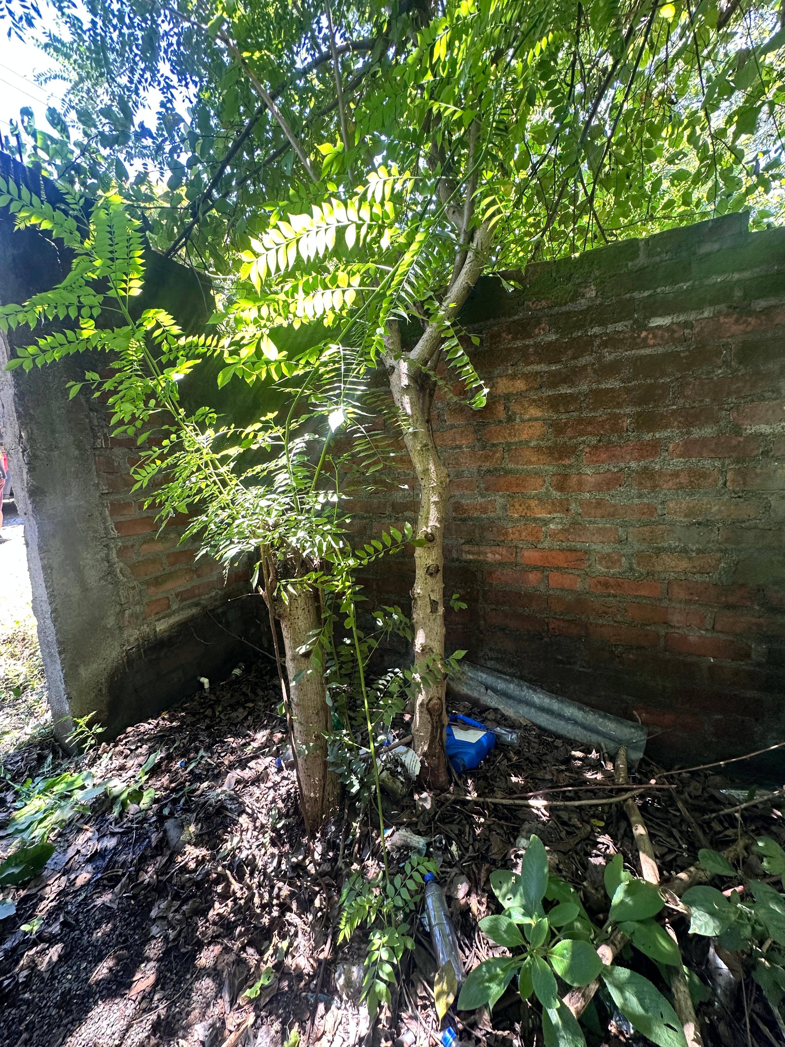 SE VENDE EN ATAMI LA LIBERTAD