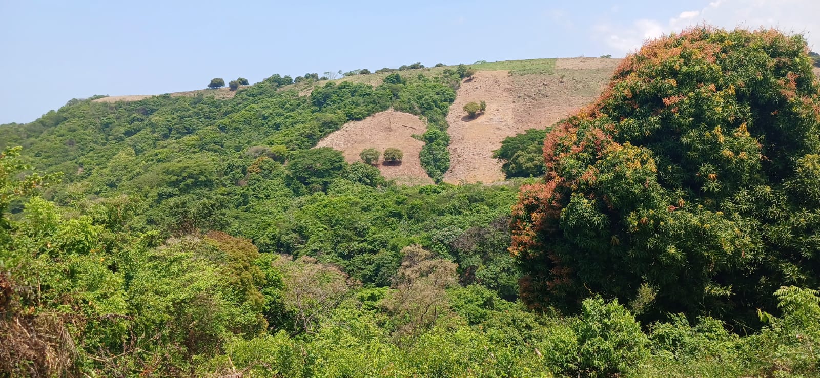 TERRENO CARRETERA DEL LITORAL LA LIBERTAD 3 MANZANAS