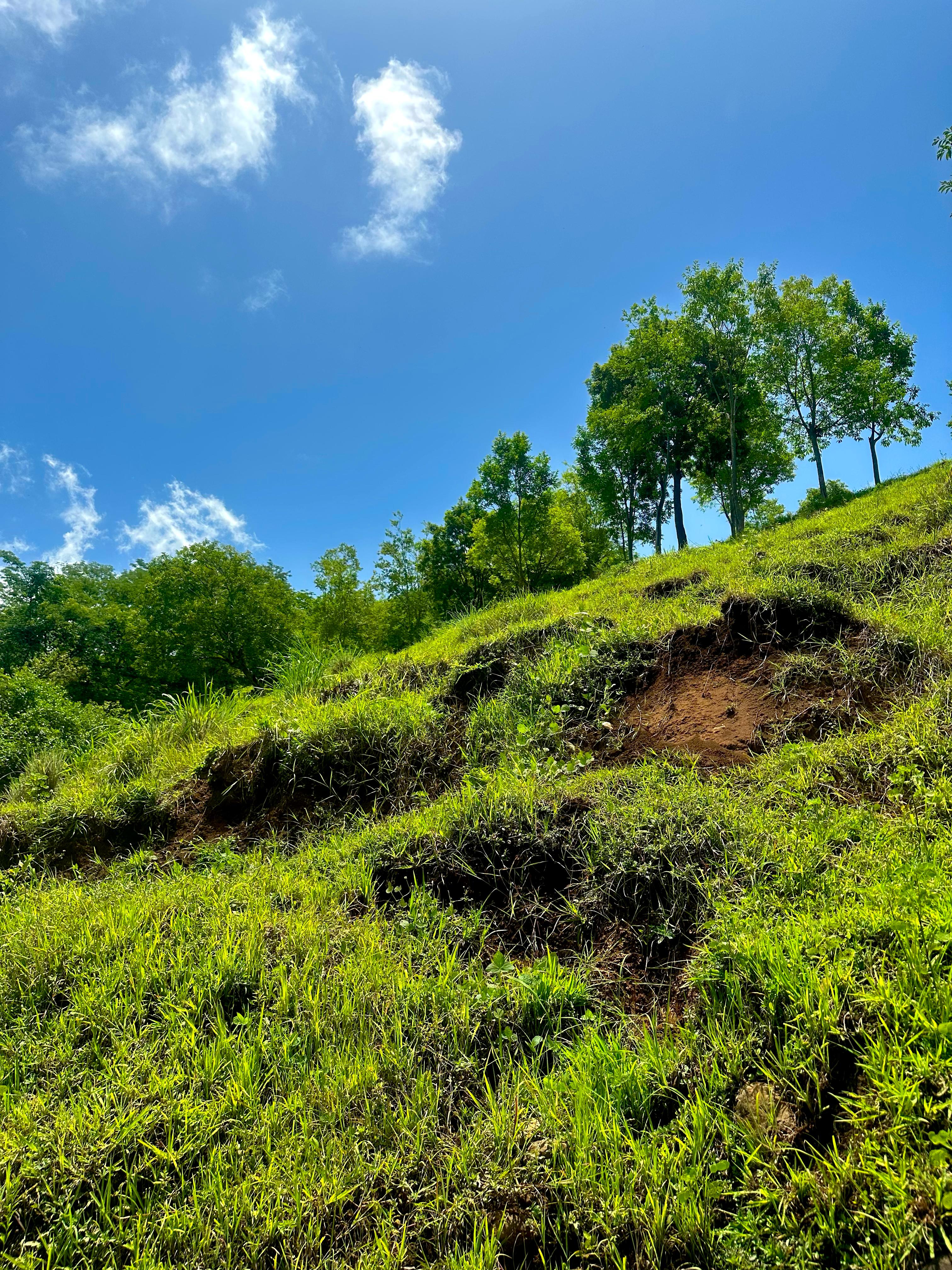 TAMANIQUE LA LIBERTAD 12 MANZANAS