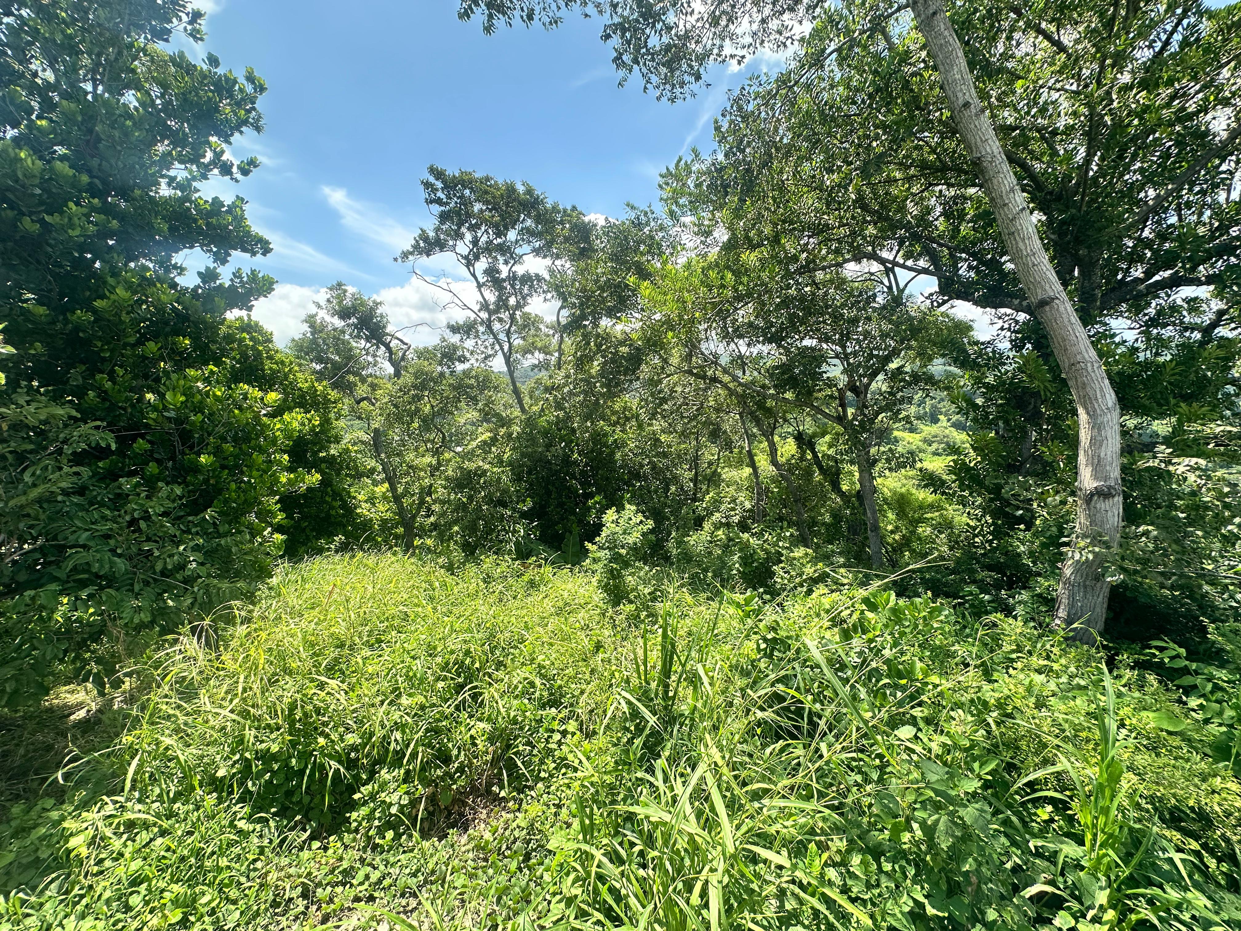 SE VENDE TERRENO EN OLOCUILTA CASA BLANCA