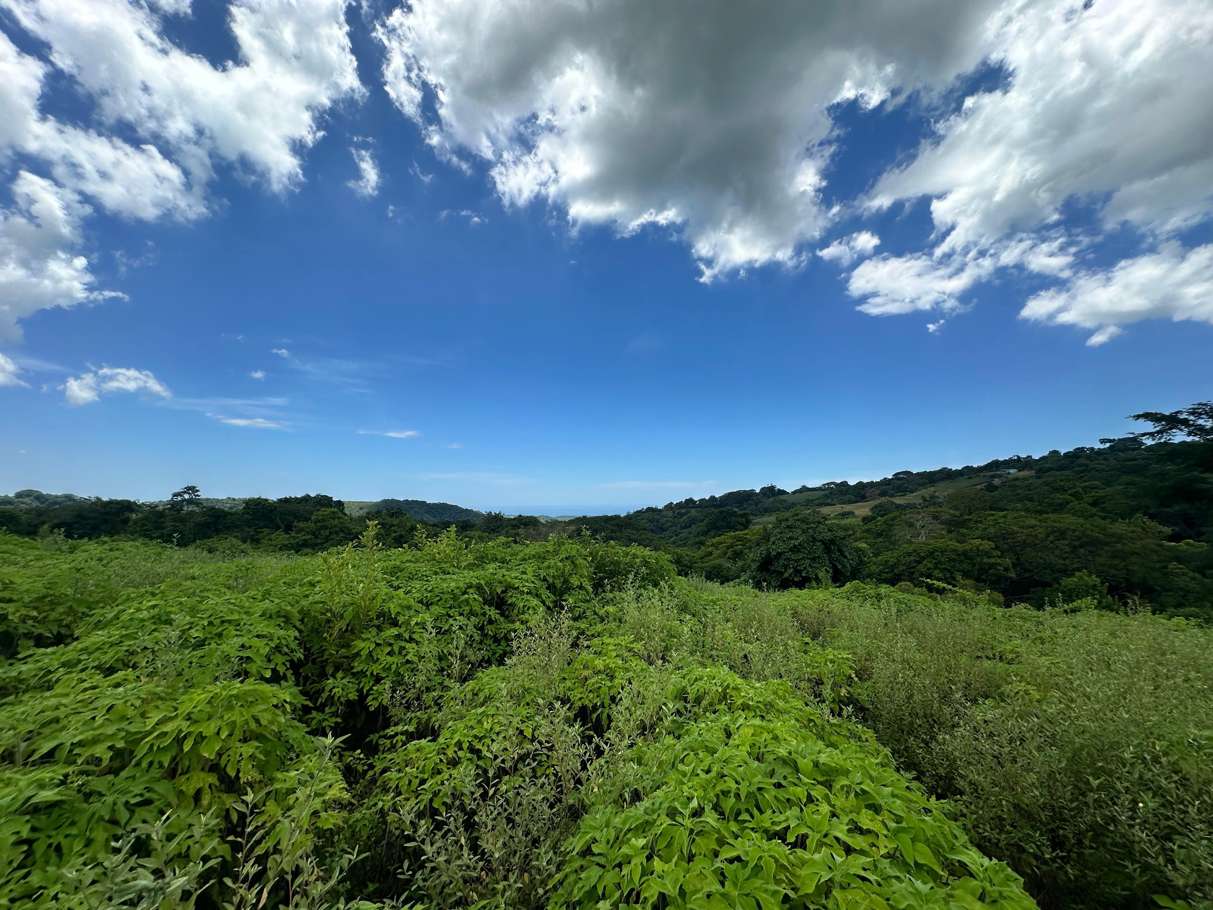 SE VENDE 12 MANZANAS EN LA SHILA COMASAGUA