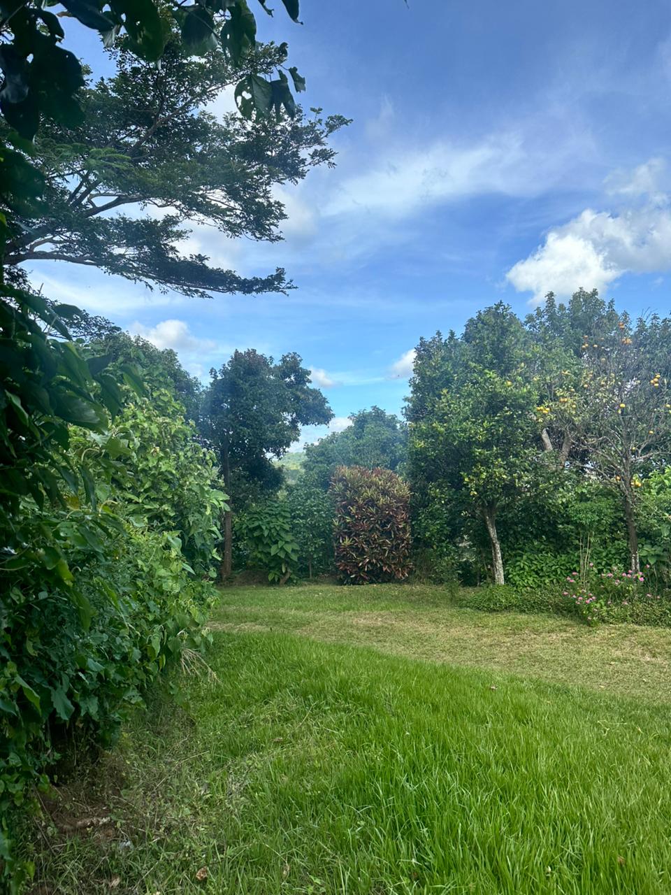 FINCA MONTE BELLO EL CONGO 123MANZANAS