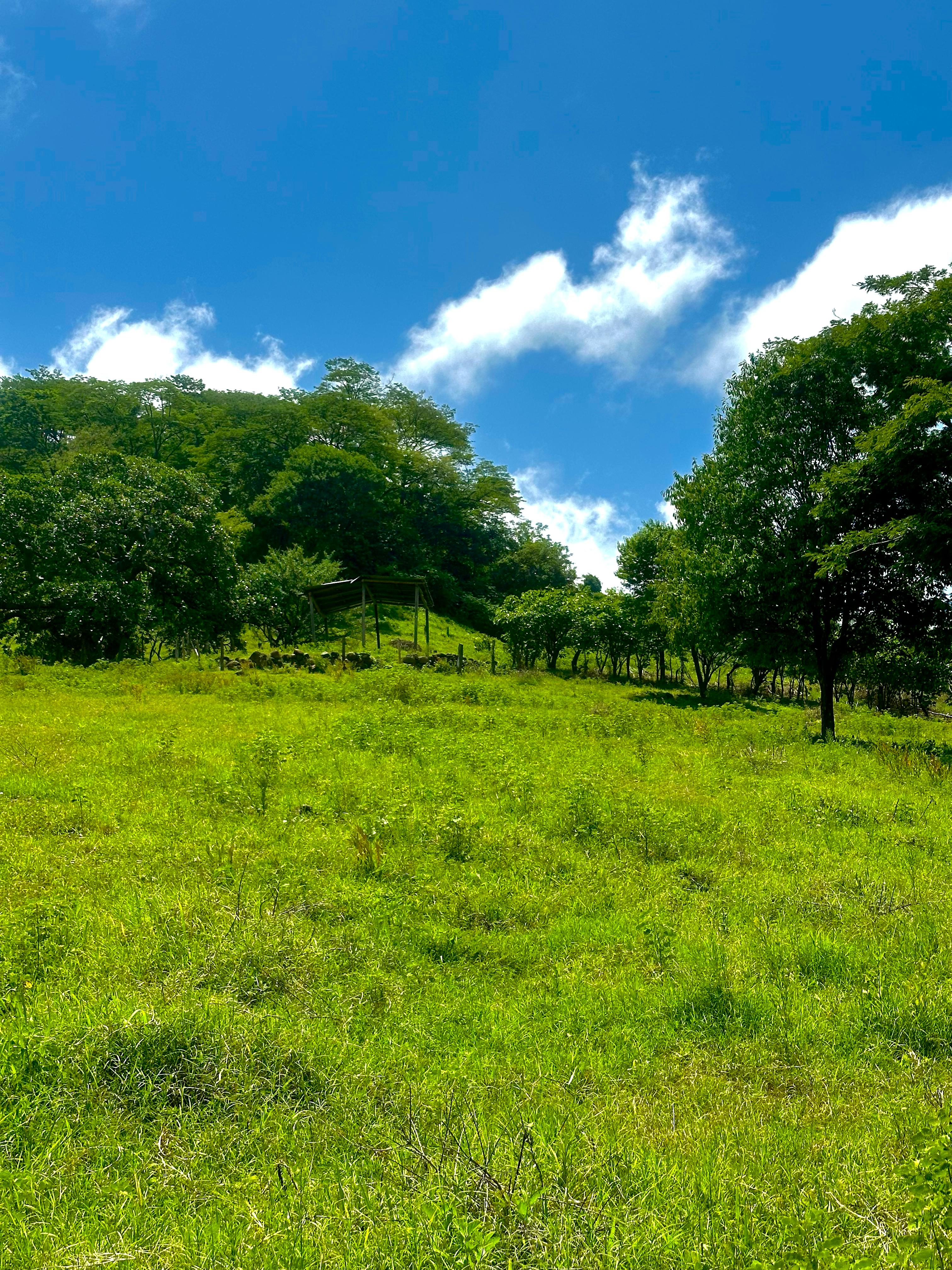TAMANIQUE LA LIBERTAD 12 MANZANAS