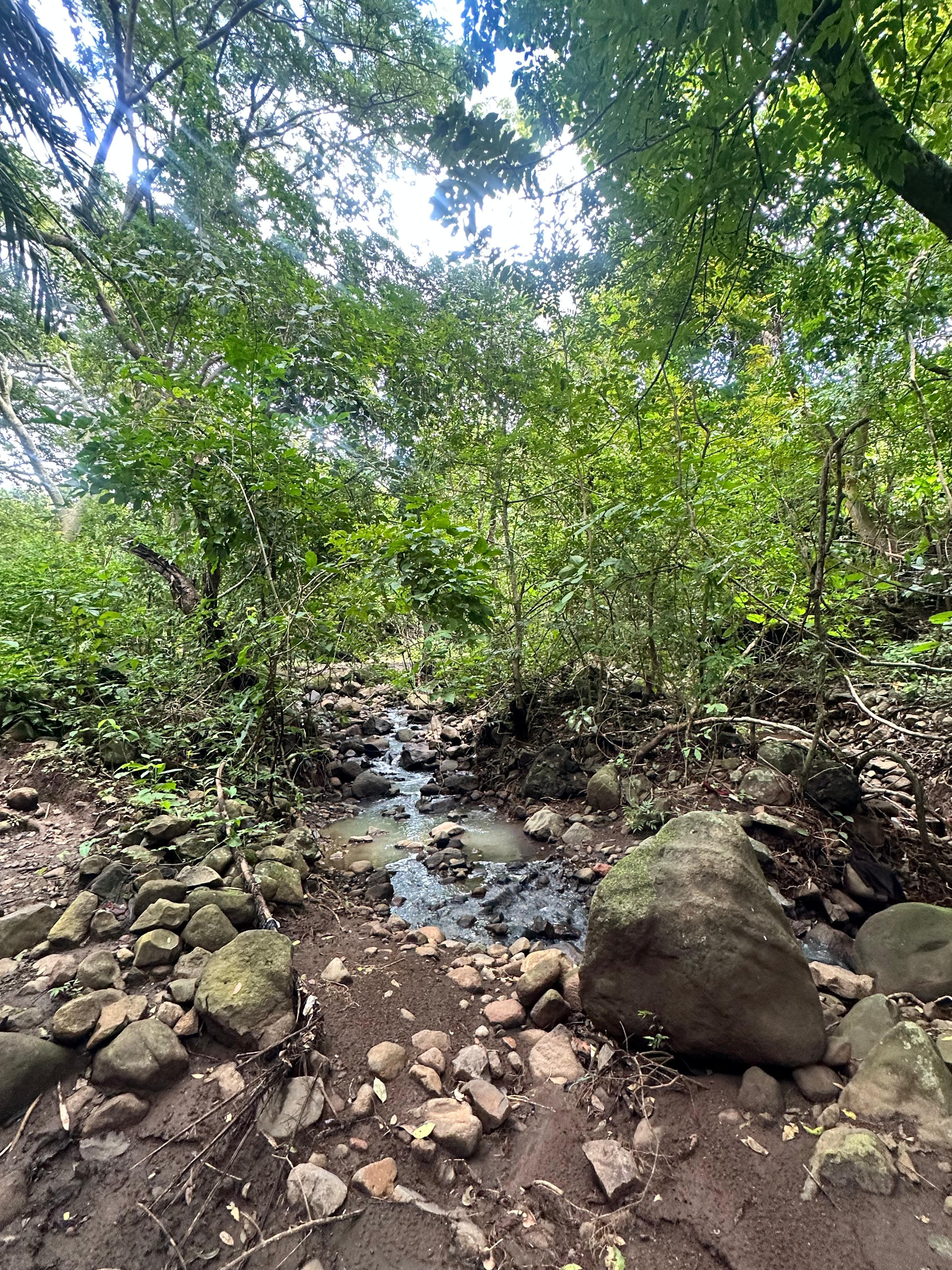 SE VENDE 12 MANZANAS EN LA SHILA COMASAGUA