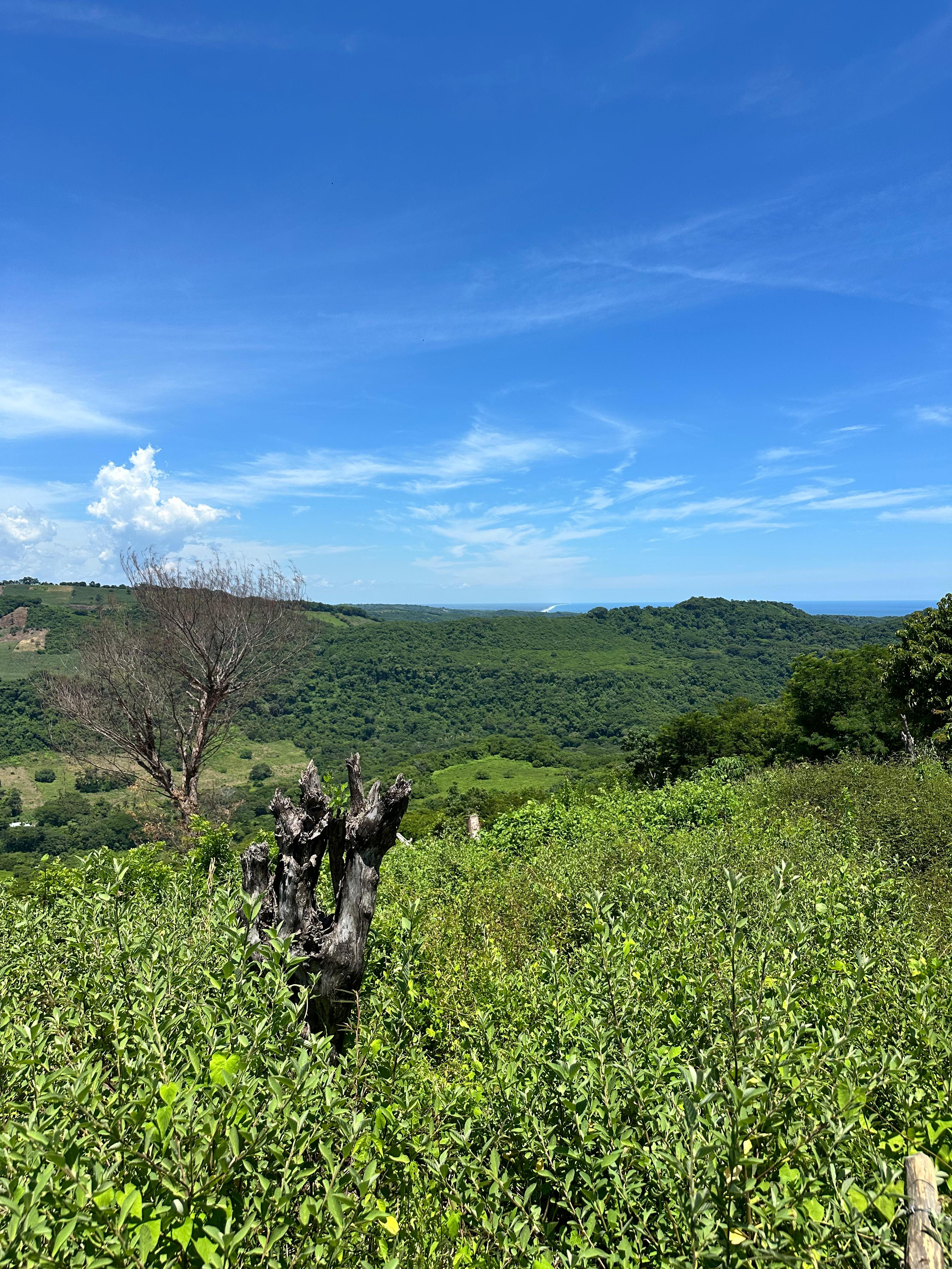 SE VENDE EN TAMANIQUE BUENOS AIRES 10 manzanas