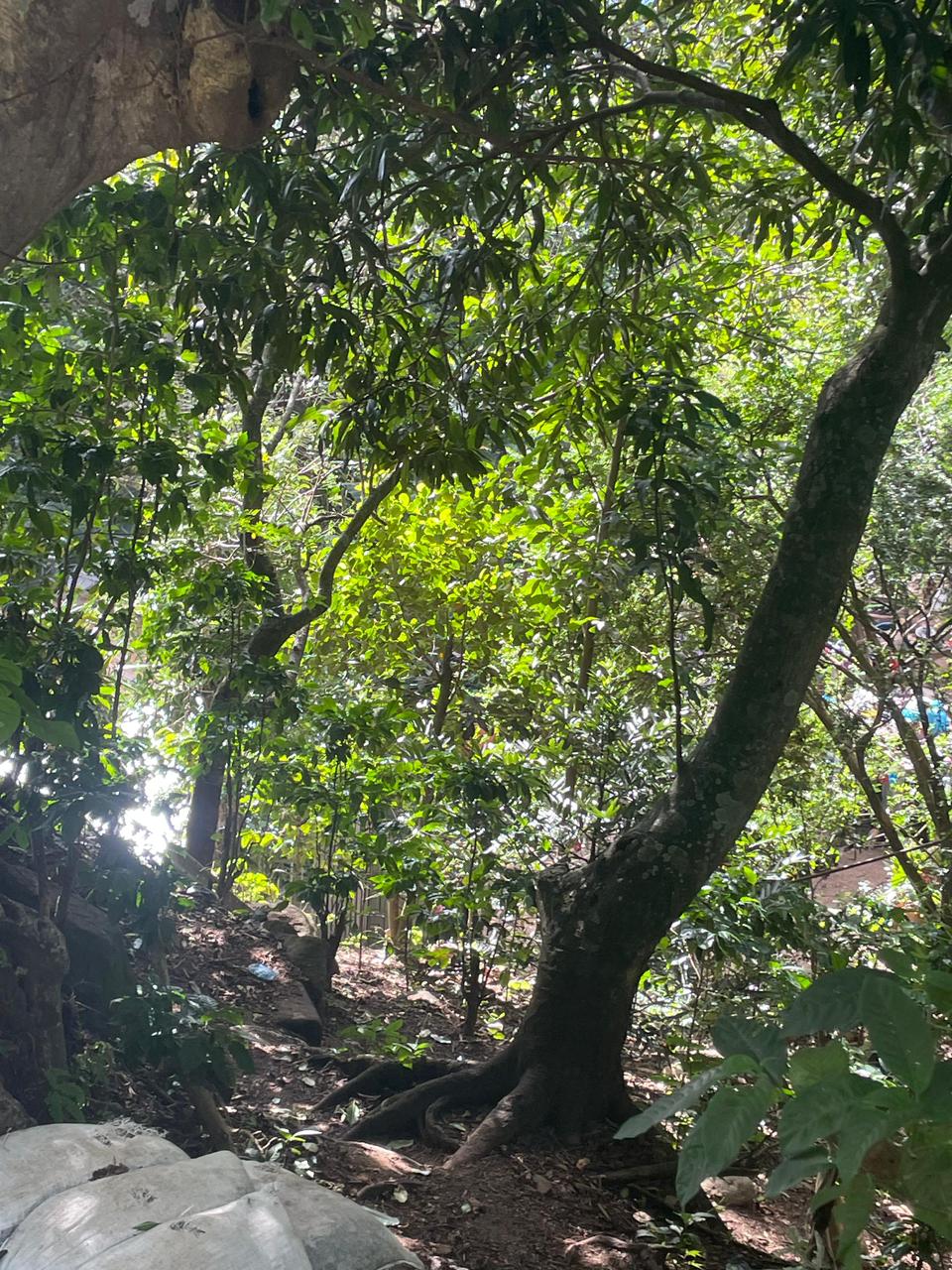 LAGO DE COATEPEQUE 4 MANZANAS