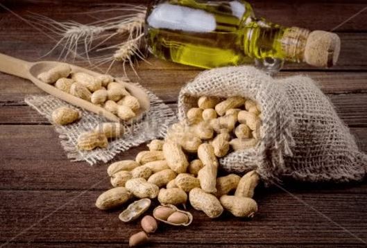 Groundnut Oil