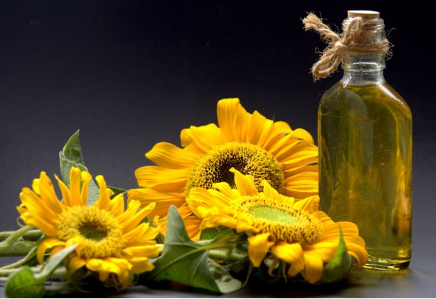 Sunflower Oil