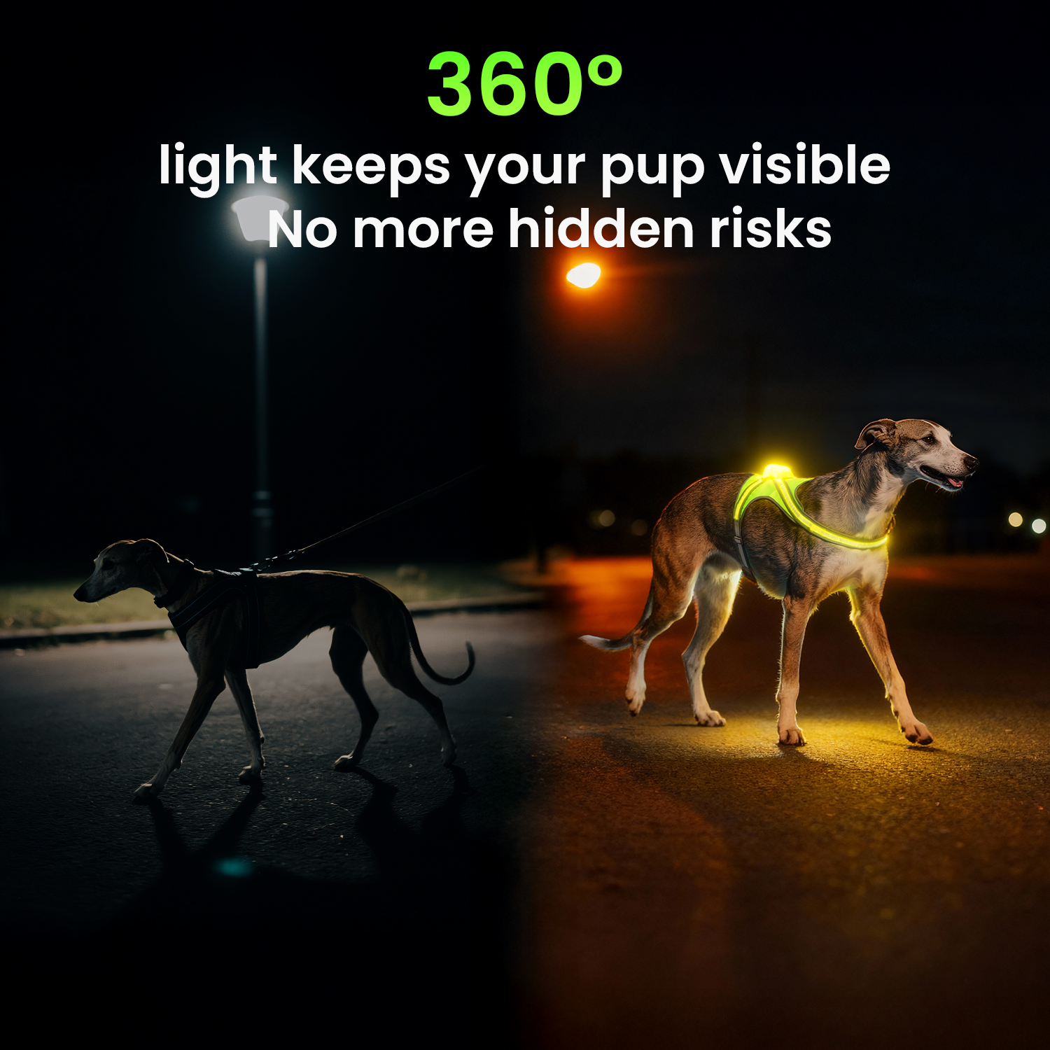 Xlife Light Up Dog Harness-S