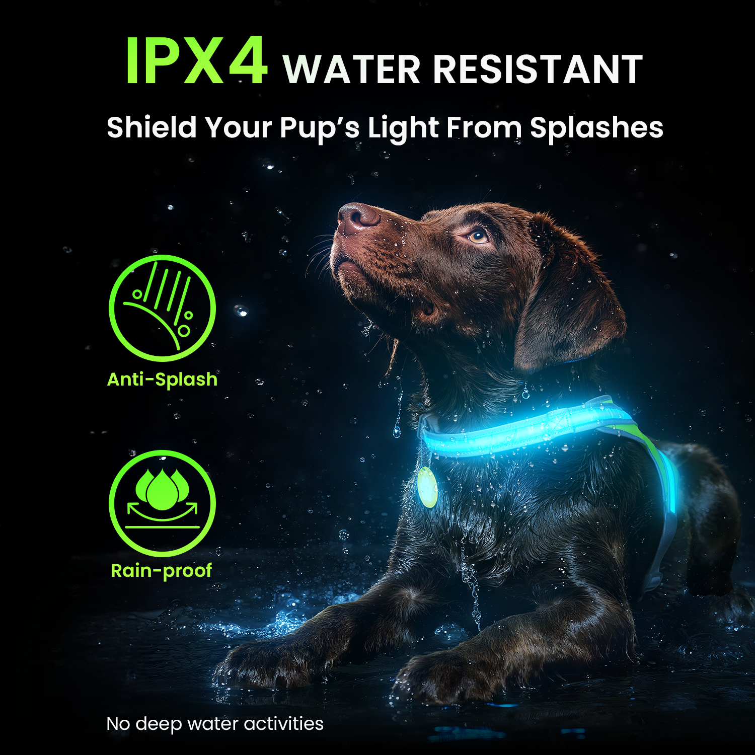 Xlife Light Up Dog Harness-S