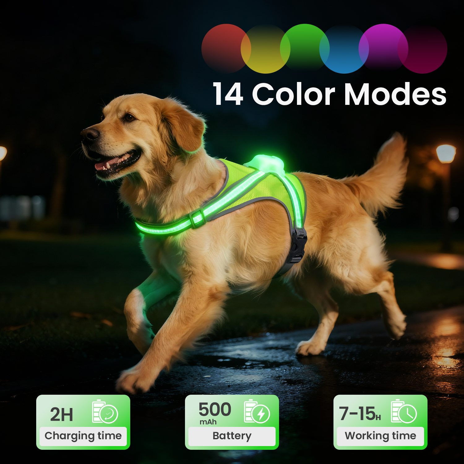 Xlife Light Up Dog Harness-L