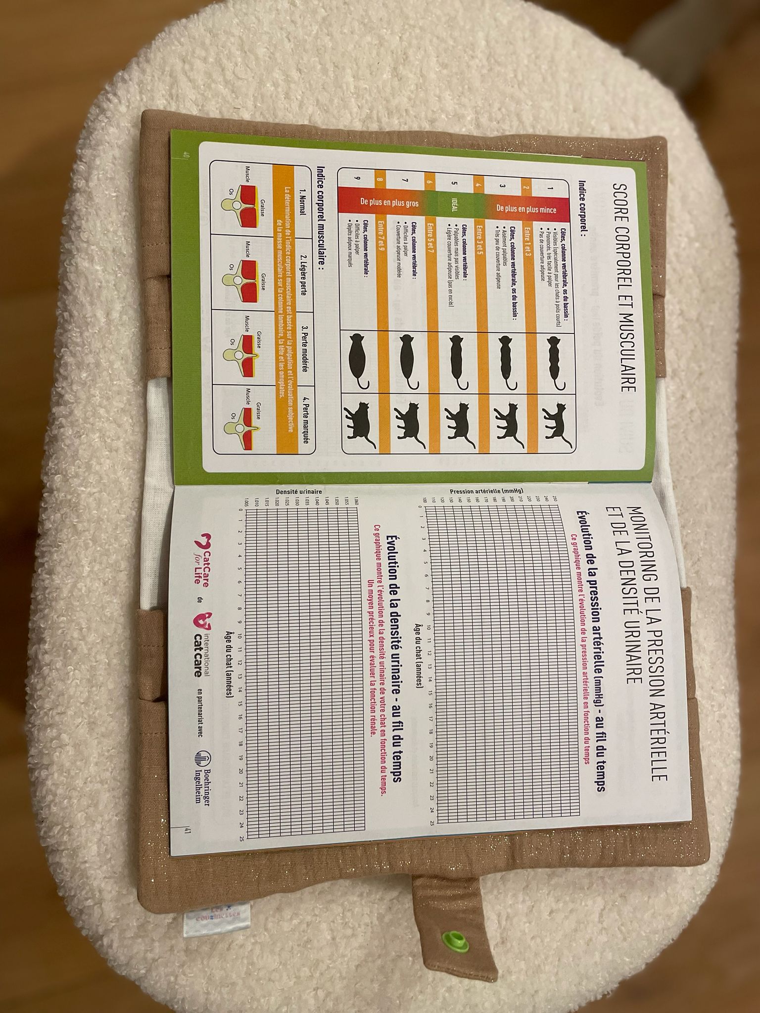 Protège carnet de santé Coffy